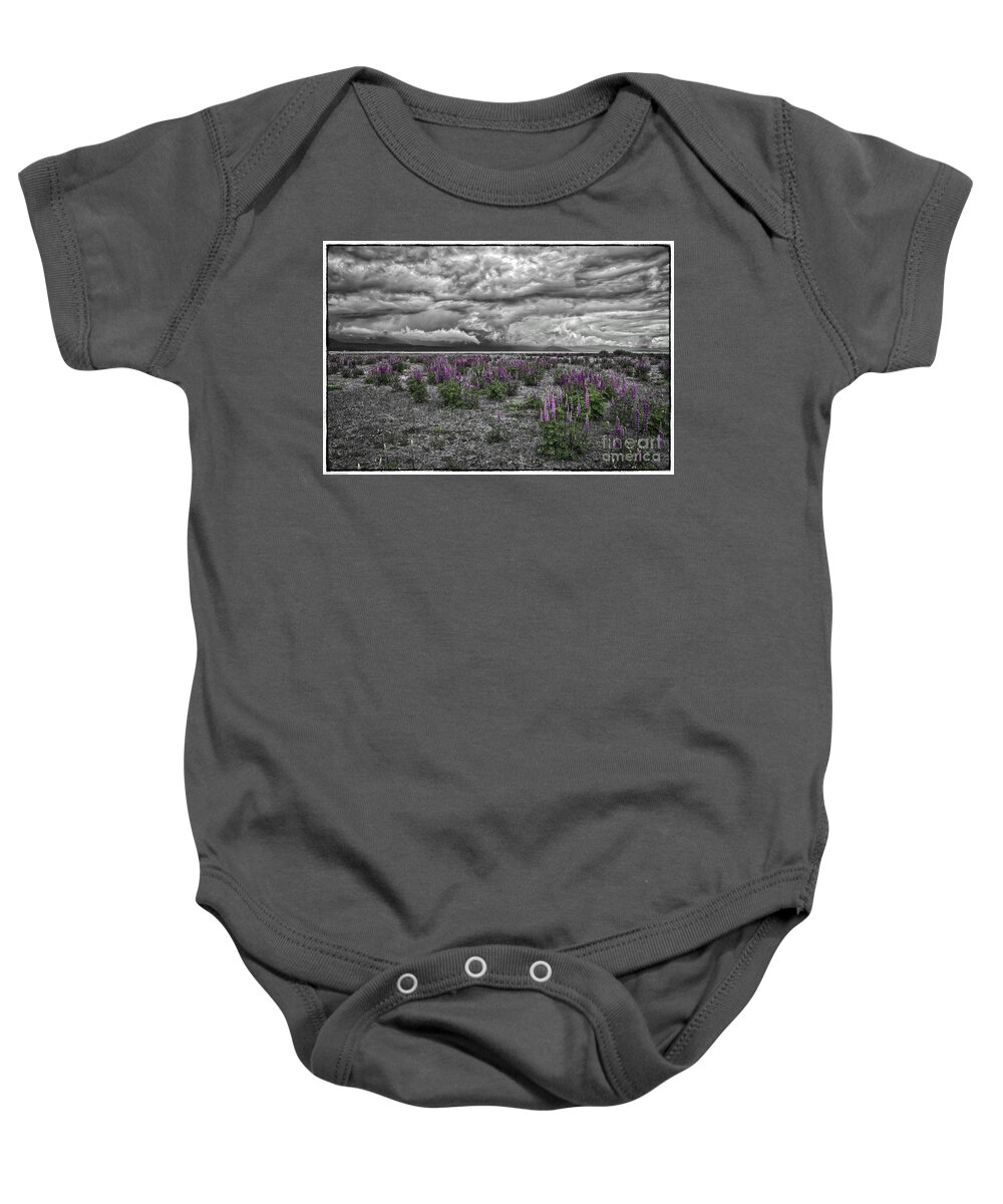 Lupine And Log Baby Onesie featuring the photograph Colorful Spring by Mitch Shindelbower
