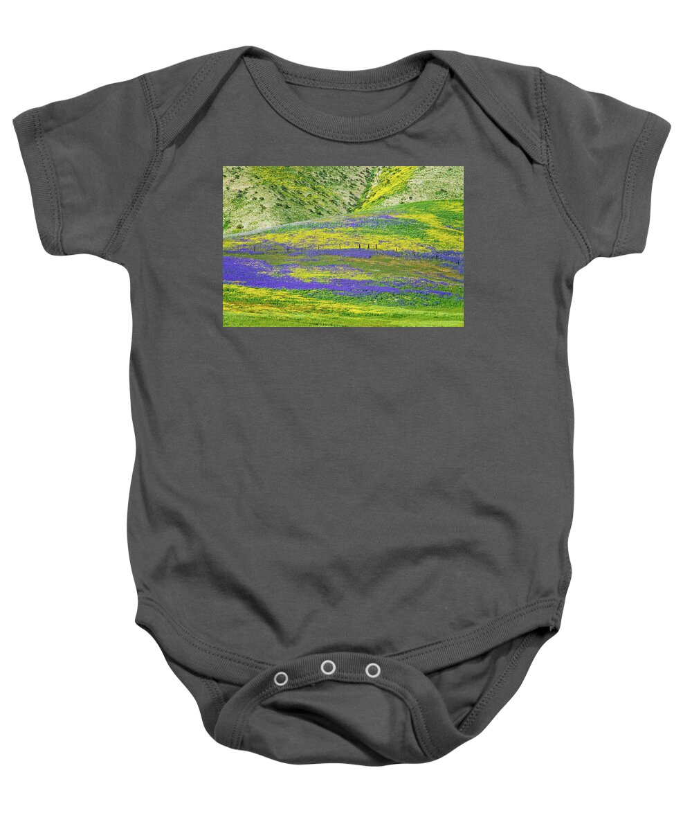 Carrizo Plain Wildflowers Baby Onesie featuring the photograph Colorful Wildflower Carpet by Lynn Bauer