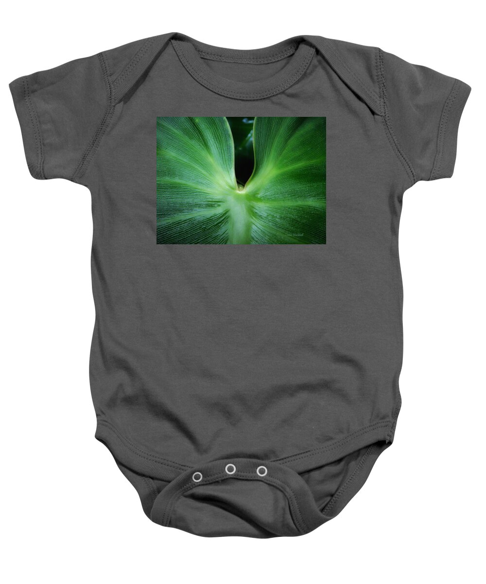 Botanical Baby Onesie featuring the photograph Come Closer by Donna Blackhall