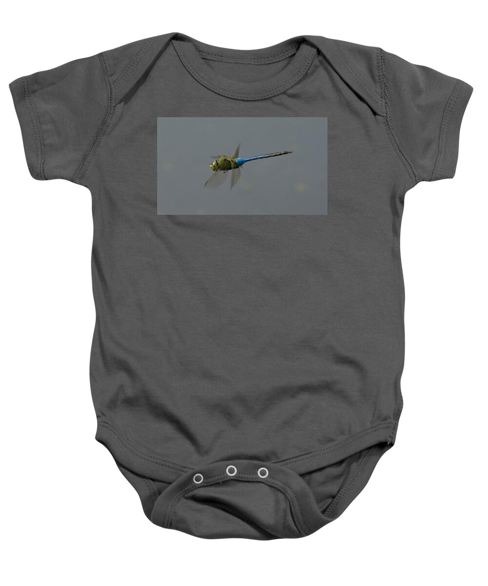 Dragonfly Baby Onesie featuring the photograph Common Darner all of a hover by Bob Kemp