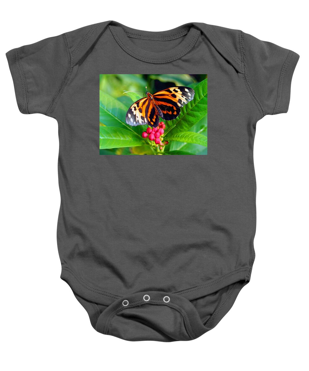 Nature Baby Onesie featuring the photograph Common Tiger Glassywing Butterfly by Amy McDaniel