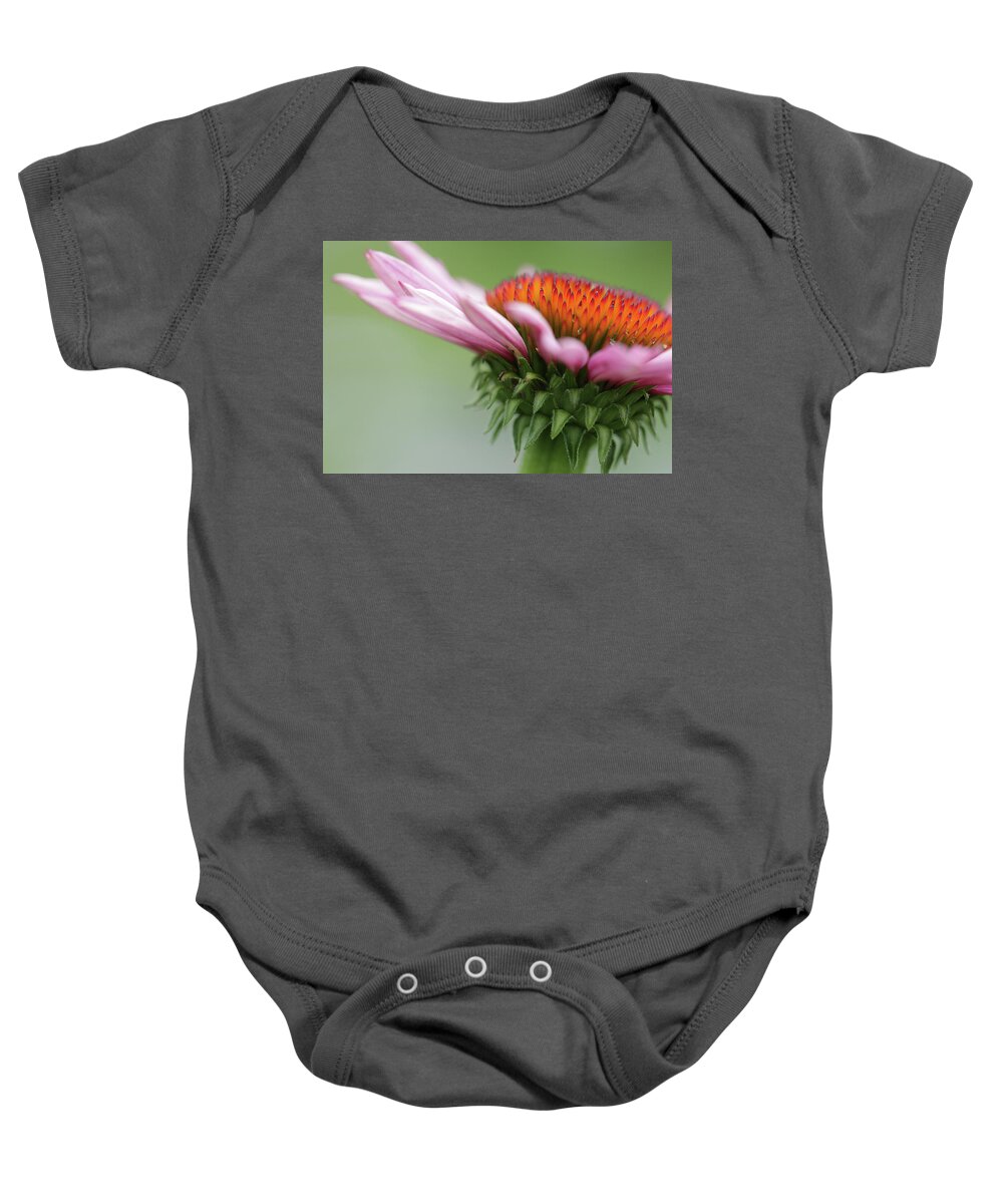 Cindi Ressler Baby Onesie featuring the photograph Coneflower by Cindi Ressler