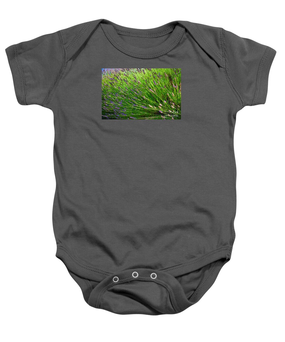 Flowers Baby Onesie featuring the photograph Country Lavender VI by Shari Warren