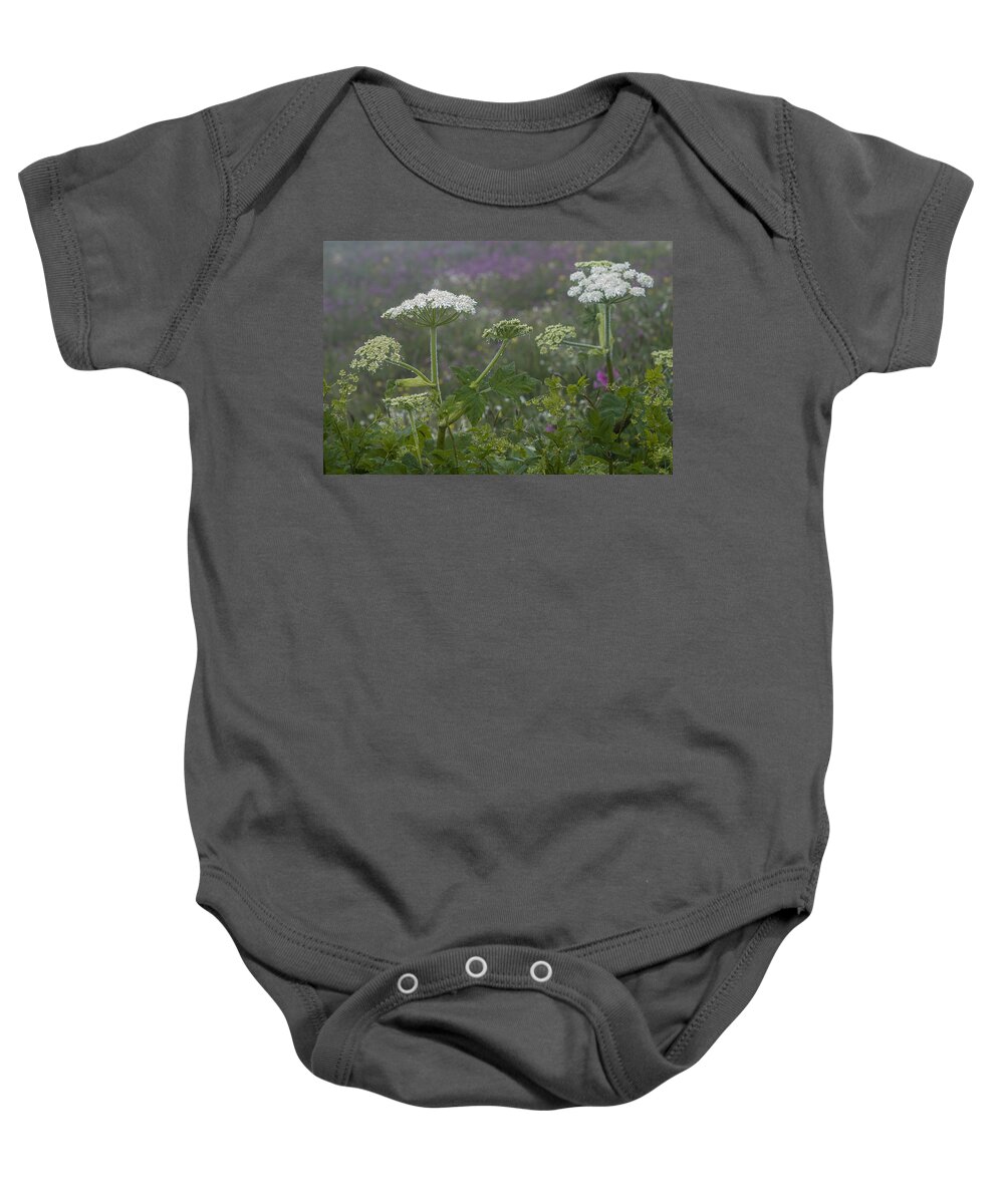 Mist Baby Onesie featuring the photograph Cow Parsnip in the Mist by Robert Potts