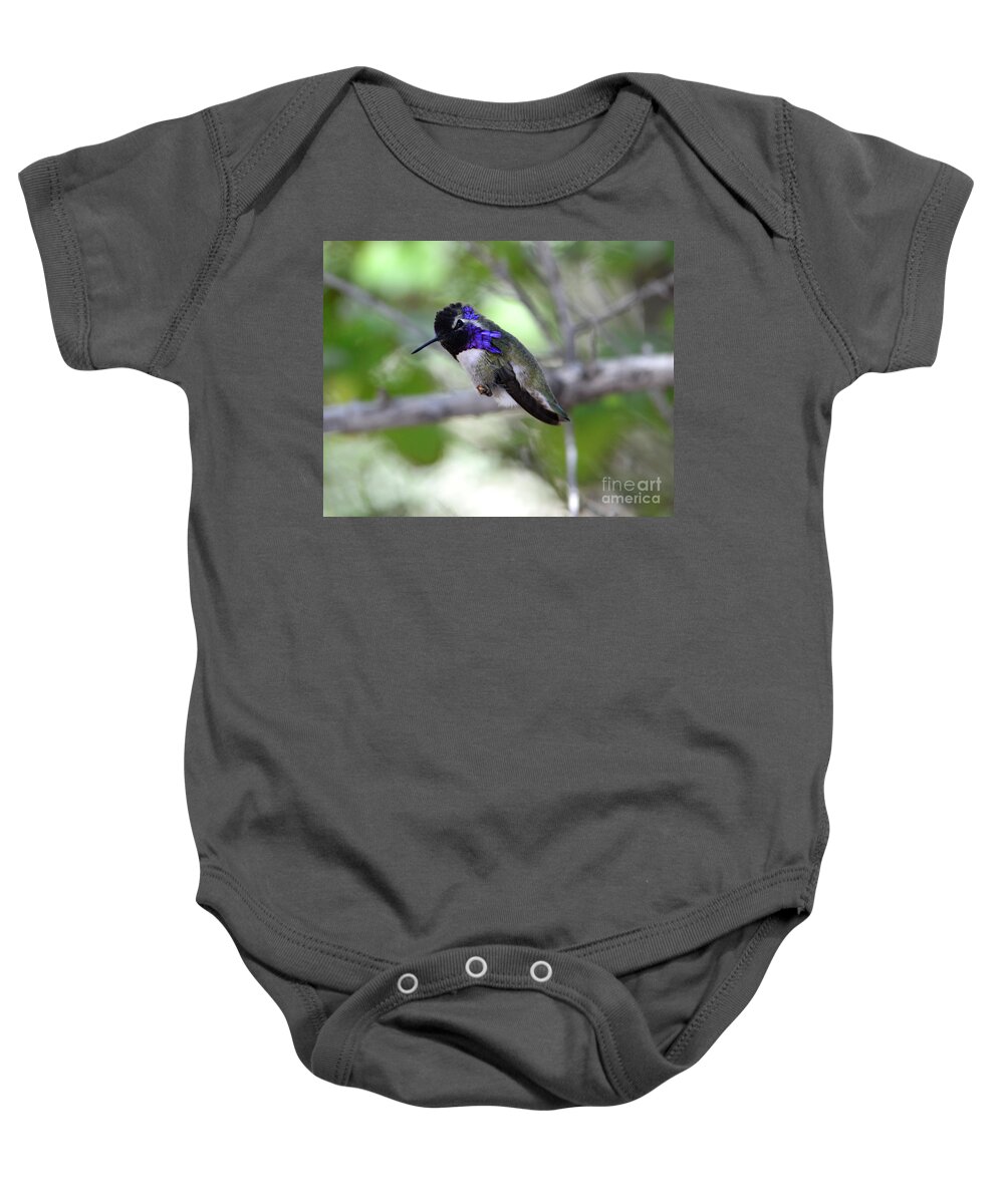 Denise Bruchman Baby Onesie featuring the photograph Coy Costa's Hummingbird by Denise Bruchman