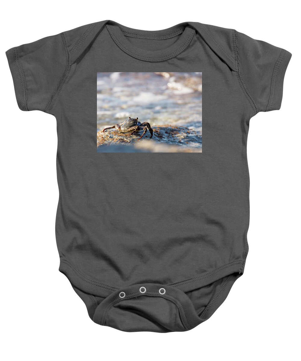 Crab Baby Onesie featuring the photograph Crab Looking for Food by David Buhler