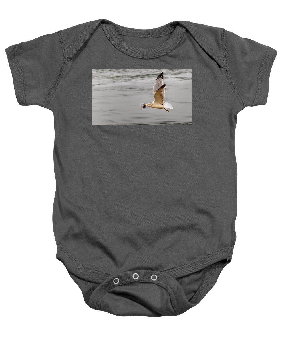 Animal Baby Onesie featuring the photograph Crab with Seagull in flight by SAURAVphoto Online Store