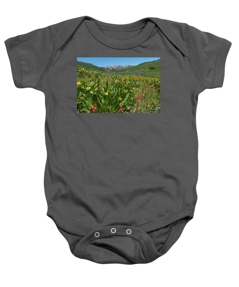 Crested Butte Baby Onesie featuring the photograph Crested Butte Wildflower Meadow and Mountains by Cascade Colors
