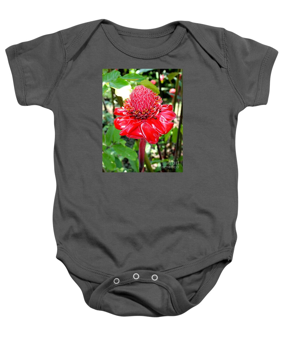Flower Baby Onesie featuring the photograph Crimson Bloom by Alice Terrill
