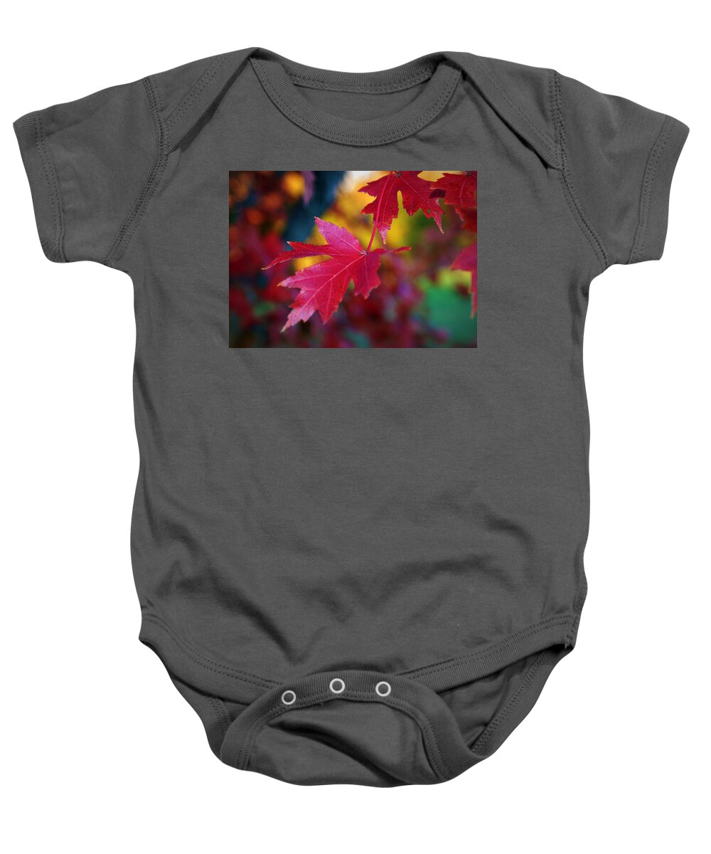 Red Baby Onesie featuring the photograph Crimson Close Up by Cricket Hackmann