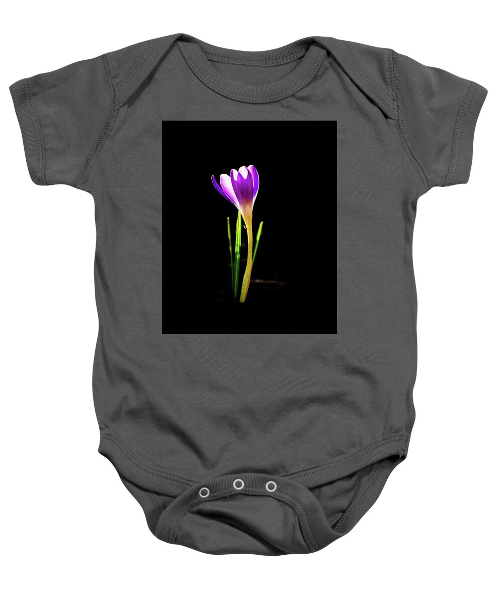 Flower Baby Onesie featuring the photograph Crocus 2018-1 by Barry Wills