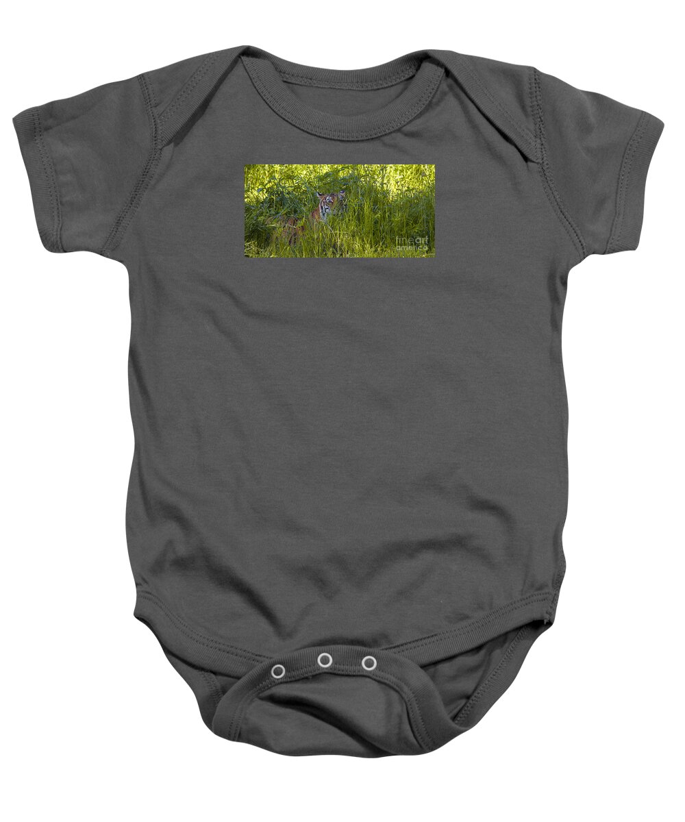 Crouching Tiger Baby Onesie featuring the photograph Crouching Tiger by Keith Kapple