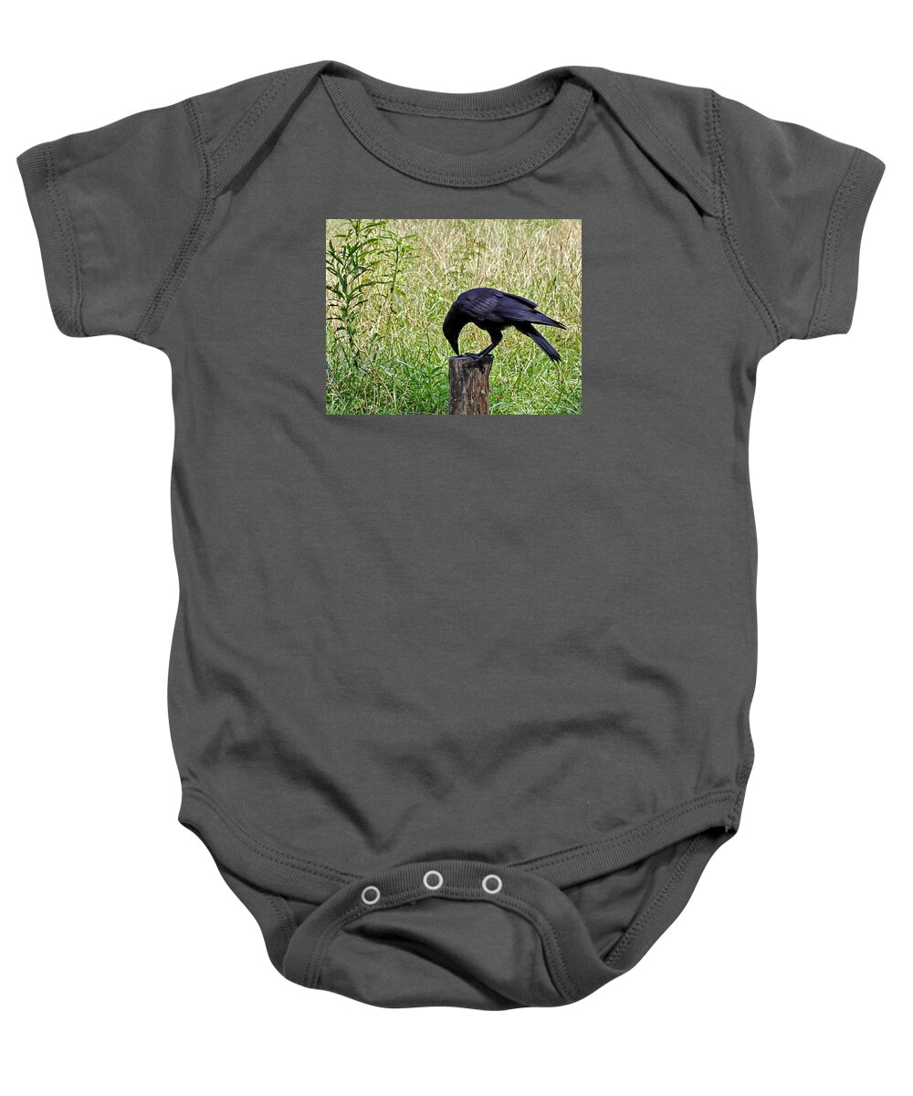 Birds Baby Onesie featuring the photograph Crow on a Post by Jennifer Robin