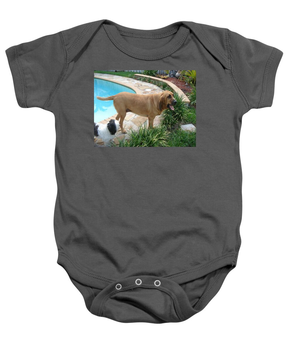 Bloodhound Baby Onesie featuring the photograph Cujo and Lucky by the Pool by Val Oconnor