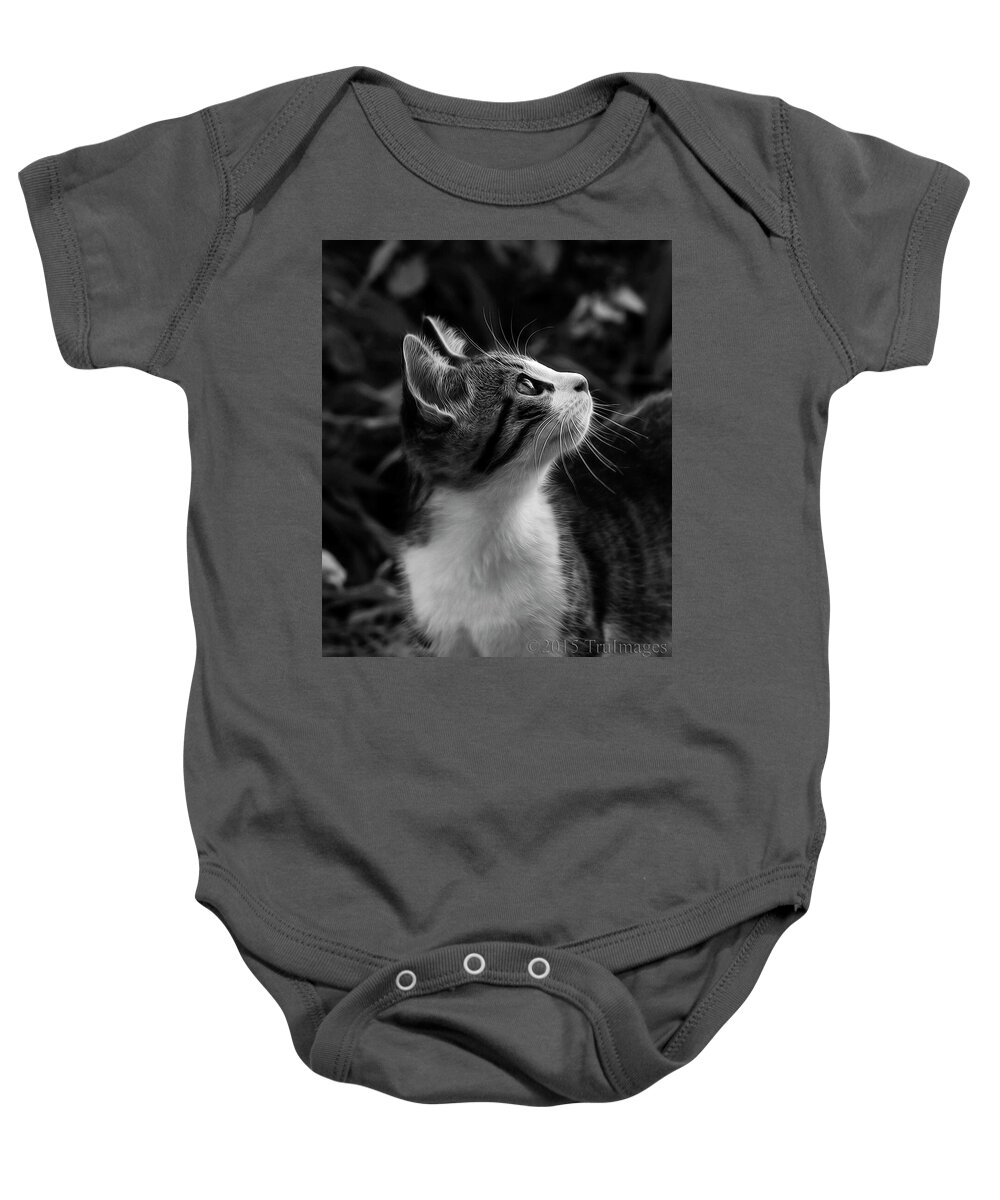 Animals Baby Onesie featuring the photograph Curious Kitty by TruImages Photography