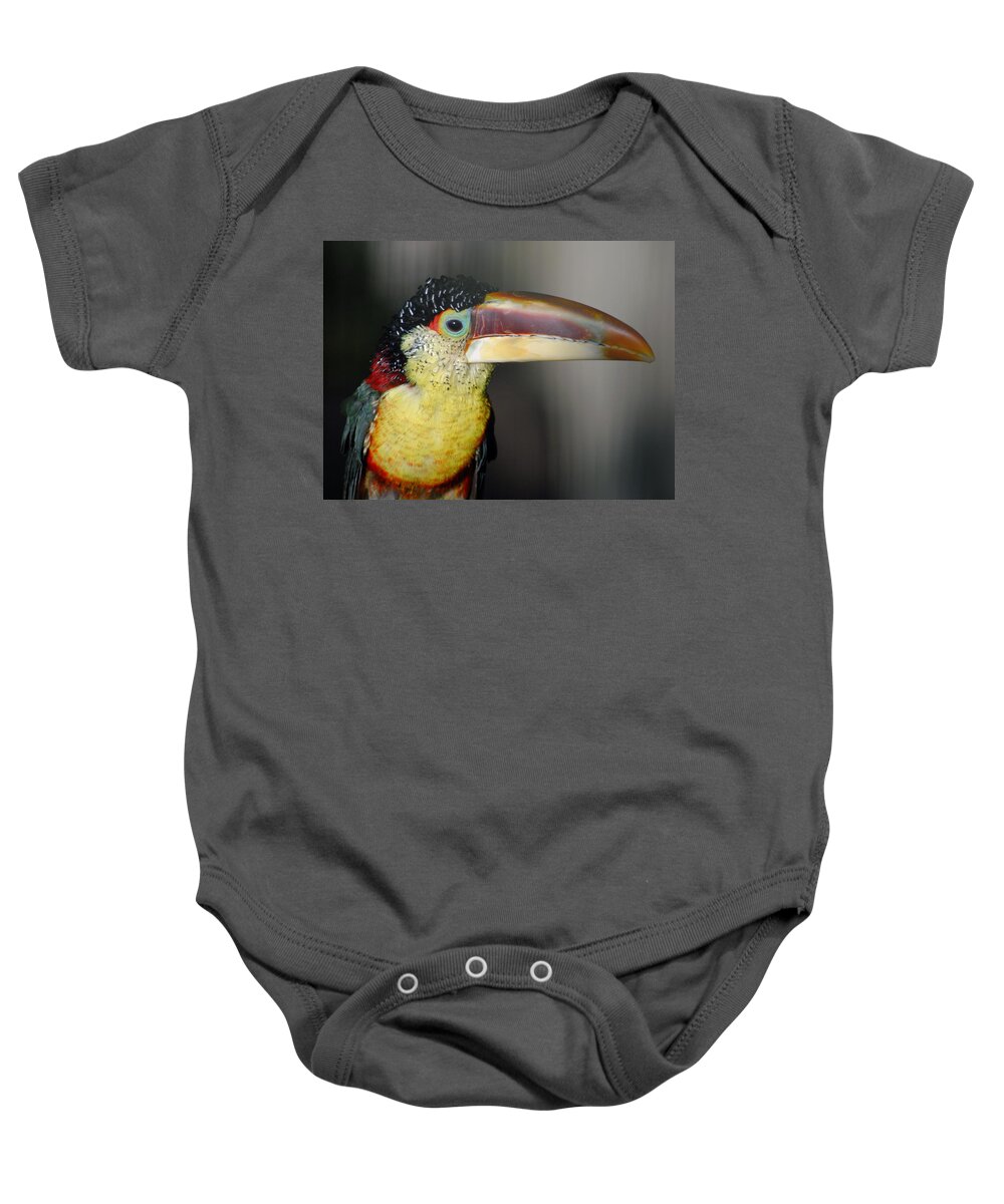 Pteroglossus Beauharnaesii Baby Onesie featuring the photograph Curl Crested Aracari Pteroglossus beauharnaesii by Nathan Abbott