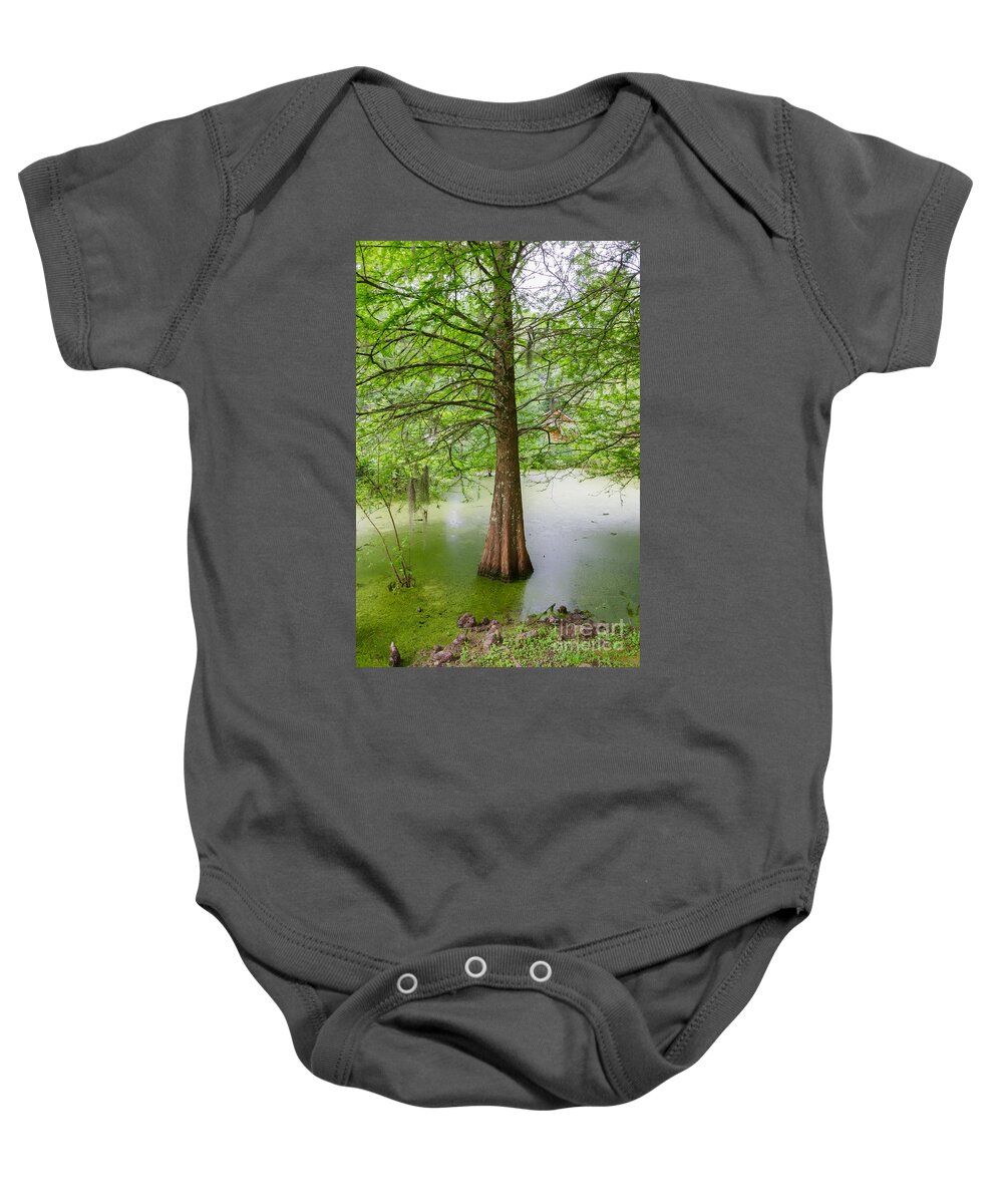 Tree Baby Onesie featuring the photograph Cypress at Myrtle's Plantation by Kathleen K Parker