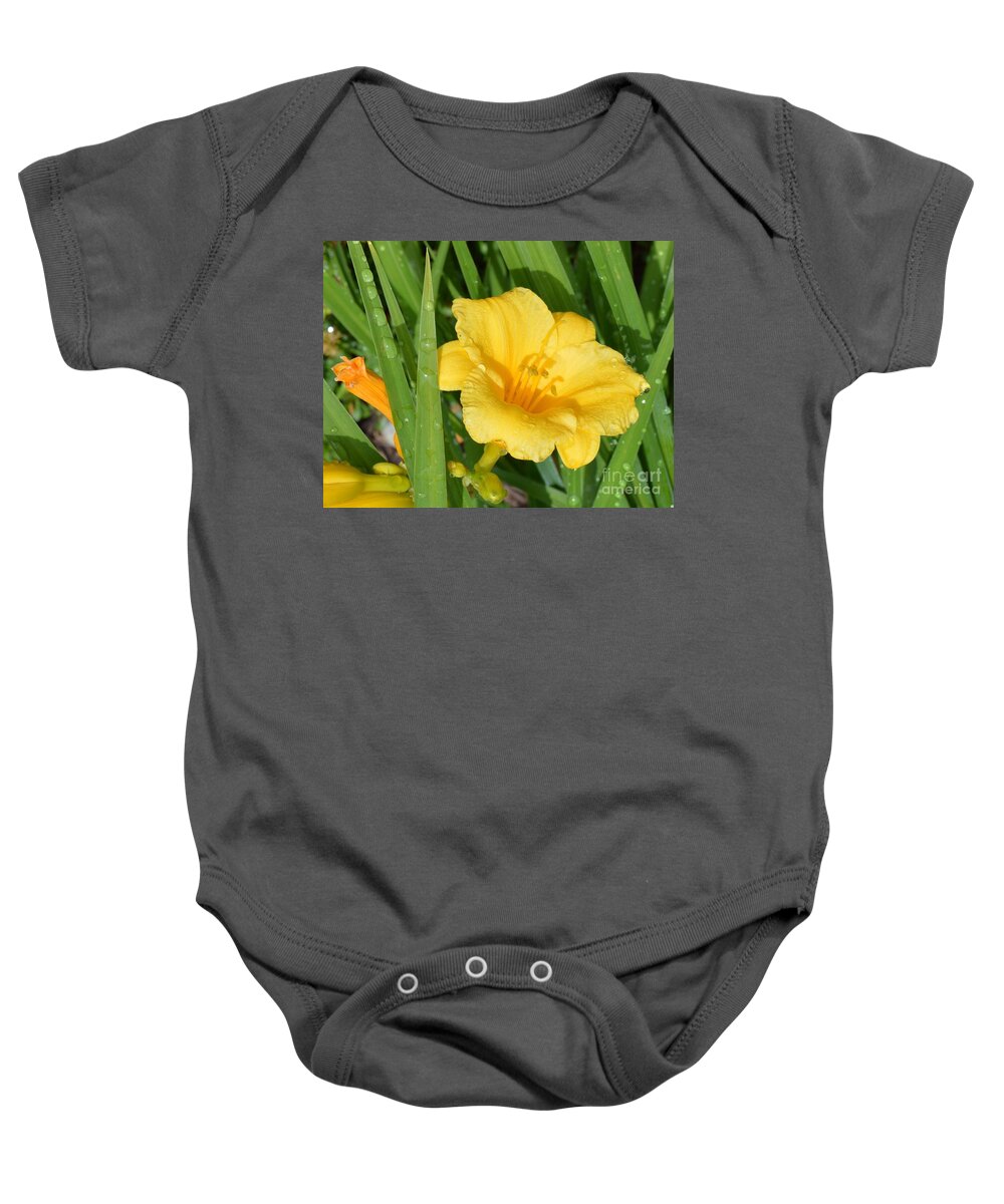 Daffodil Baby Onesie featuring the photograph Daffodils by Beverly Shelby