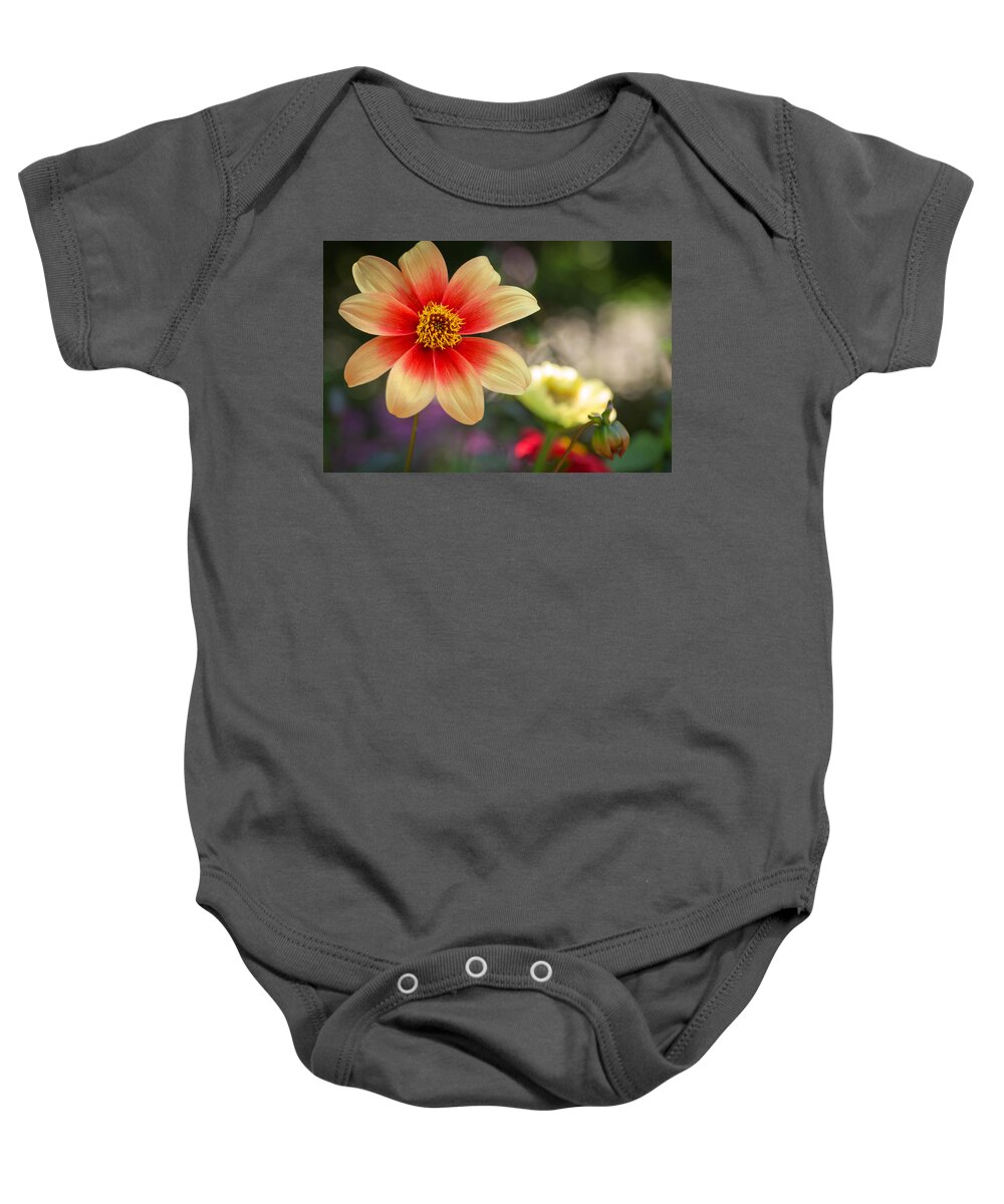 Dahlia Baby Onesie featuring the photograph Dahlia Moonfire by Susan Rissi Tregoning
