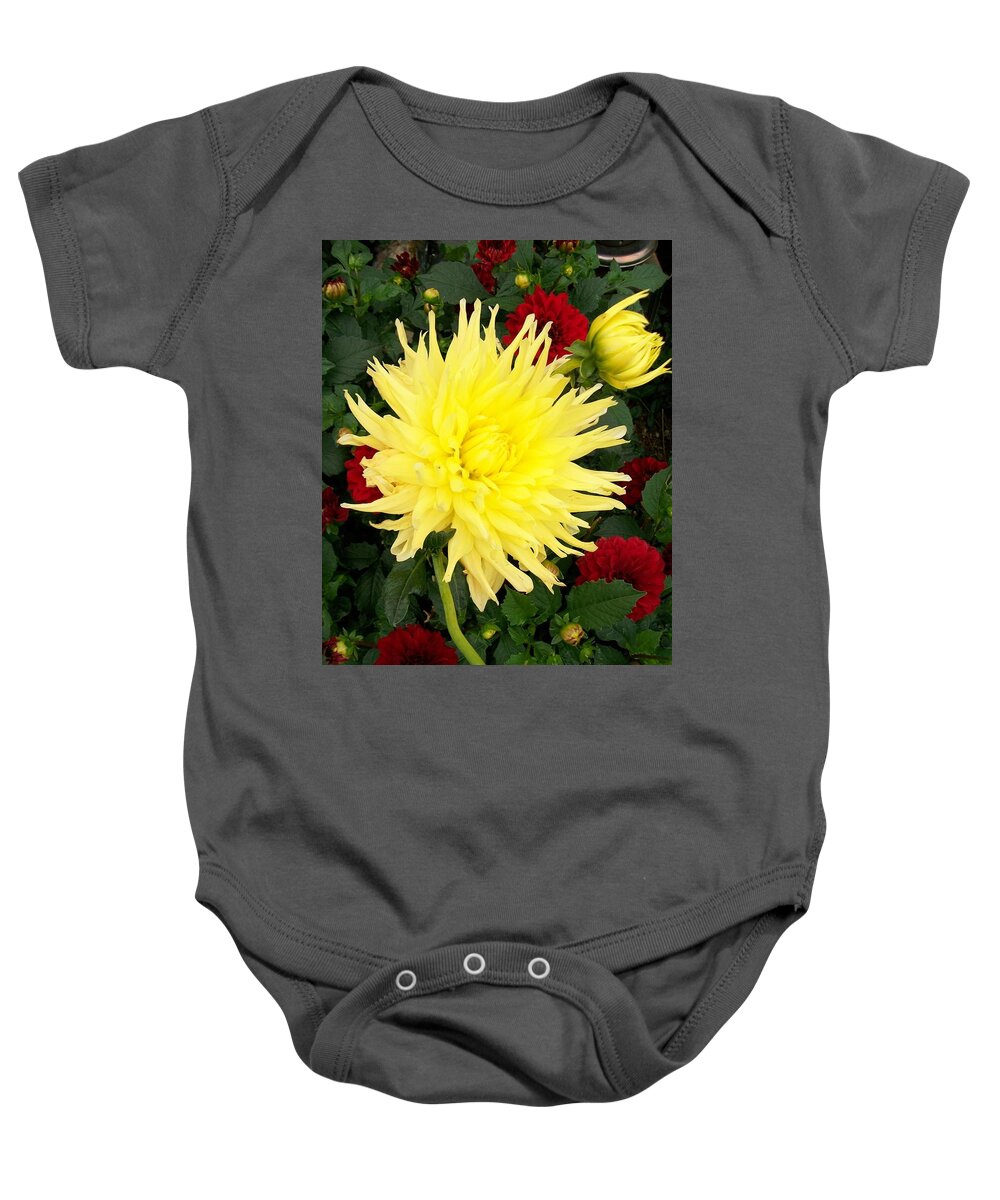 Bright Baby Onesie featuring the photograph Dahlia's by Sharon Duguay
