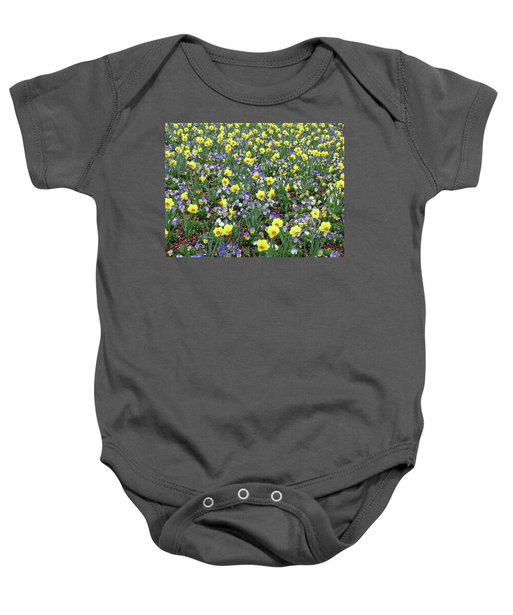 Daffodil Baby Onesie featuring the photograph Dallas Daffodils 34 by Pamela Critchlow