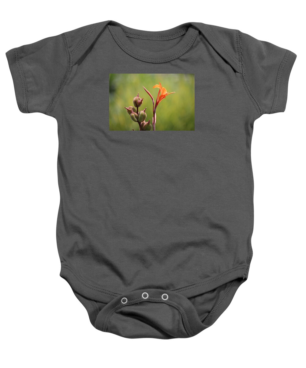 Orange Flower Baby Onesie featuring the photograph Dance of Life by Ron Monsour