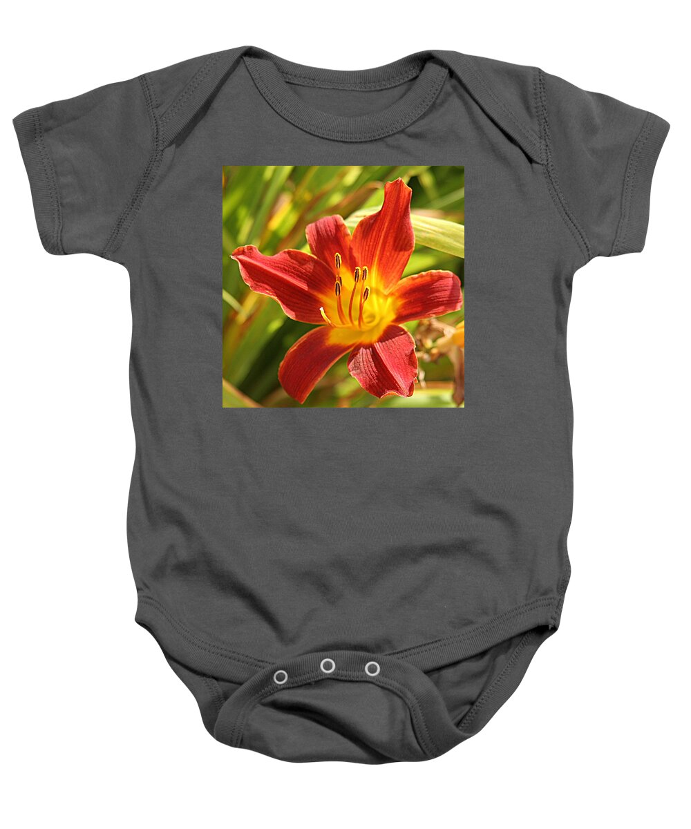 Flower Baby Onesie featuring the photograph Daylily by Jean Macaluso