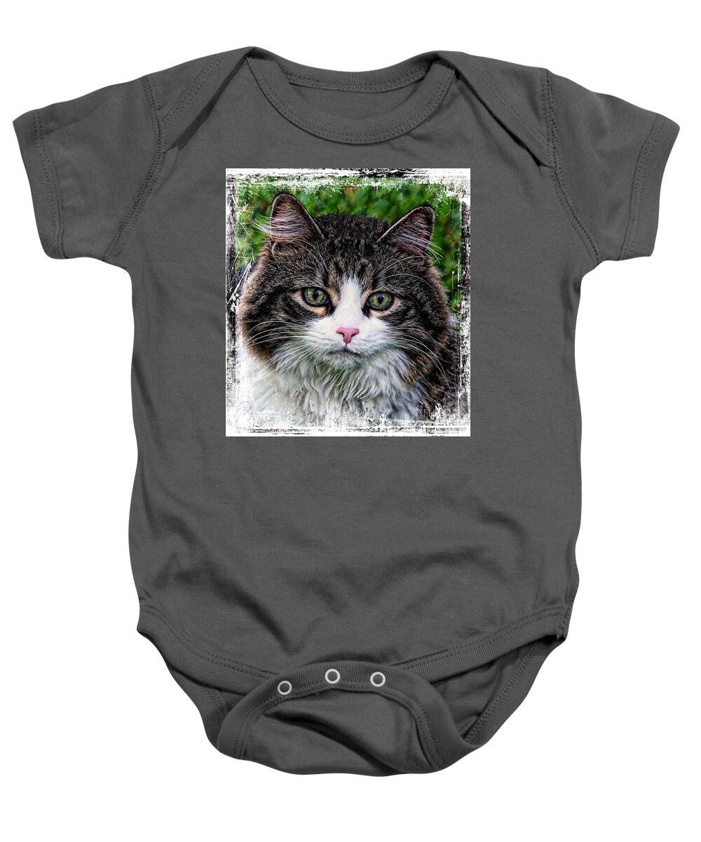 Acrylic Baby Onesie featuring the mixed media Decorative Maine Coon Cat A4122016 by Mas Art Studio