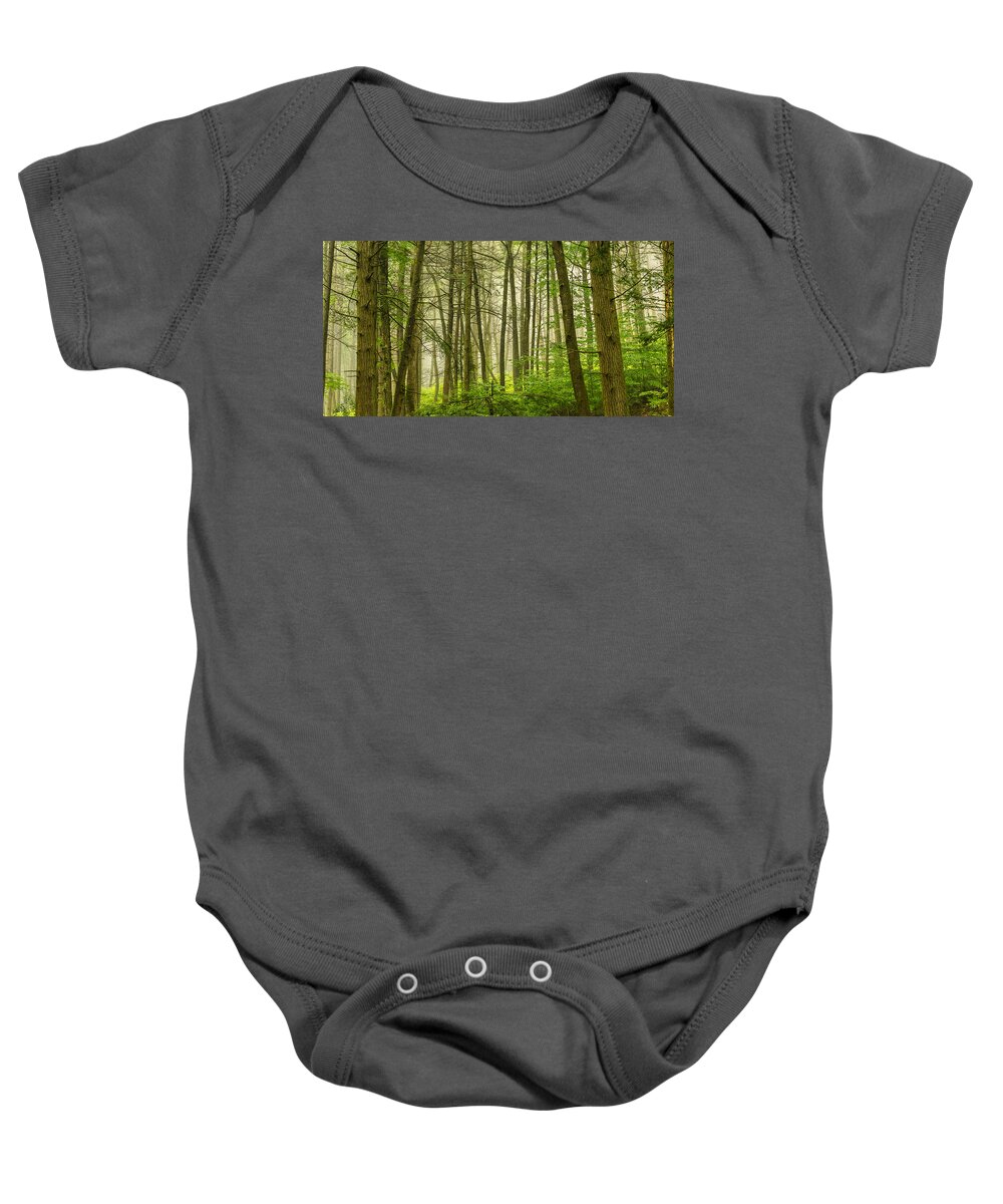 Dingmans Falls Baby Onesie featuring the photograph Deep in the Misty Forest by Mark Rogers