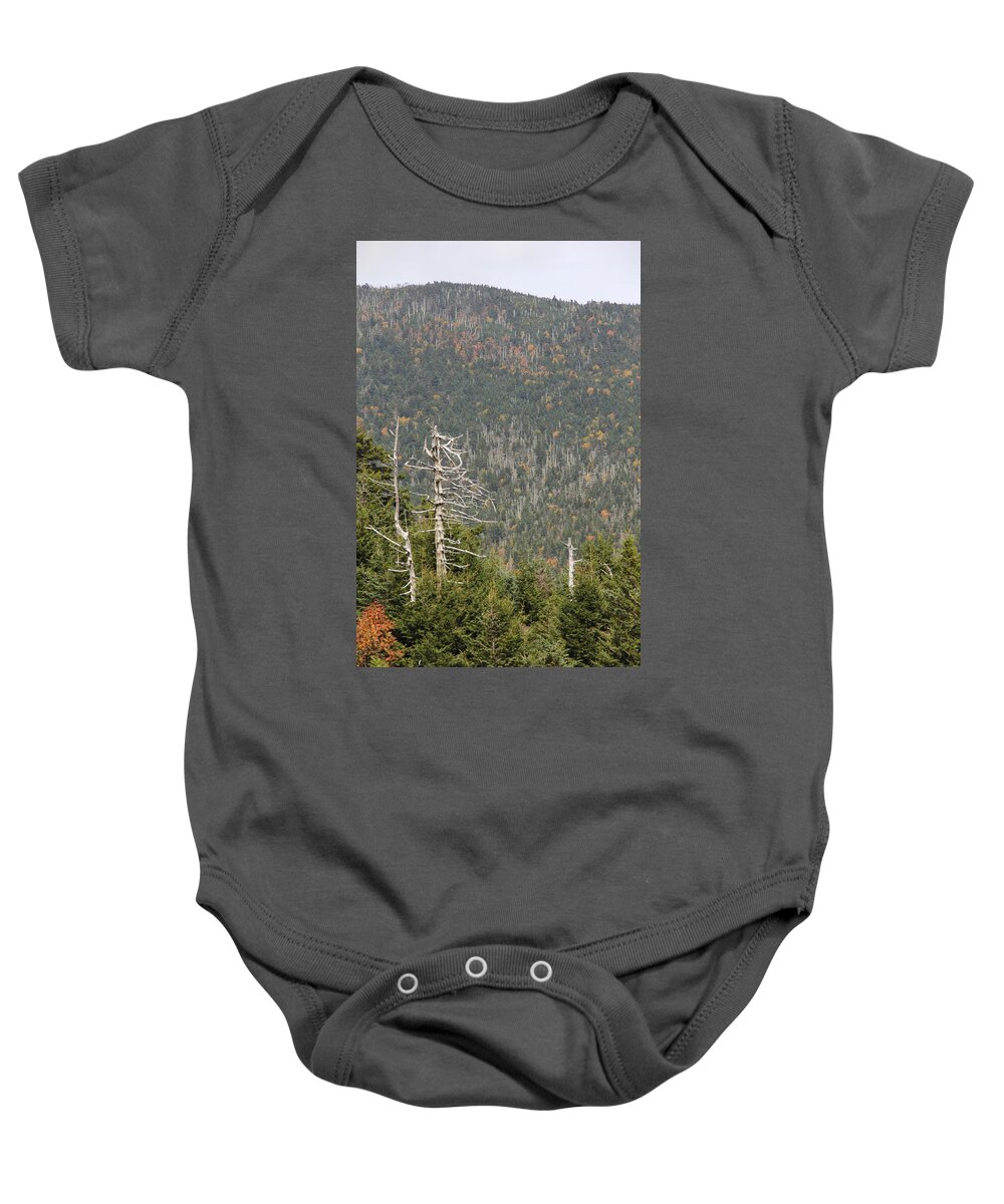 Dead Tree Baby Onesie featuring the photograph Deeper Into Forest by Allen Nice-Webb