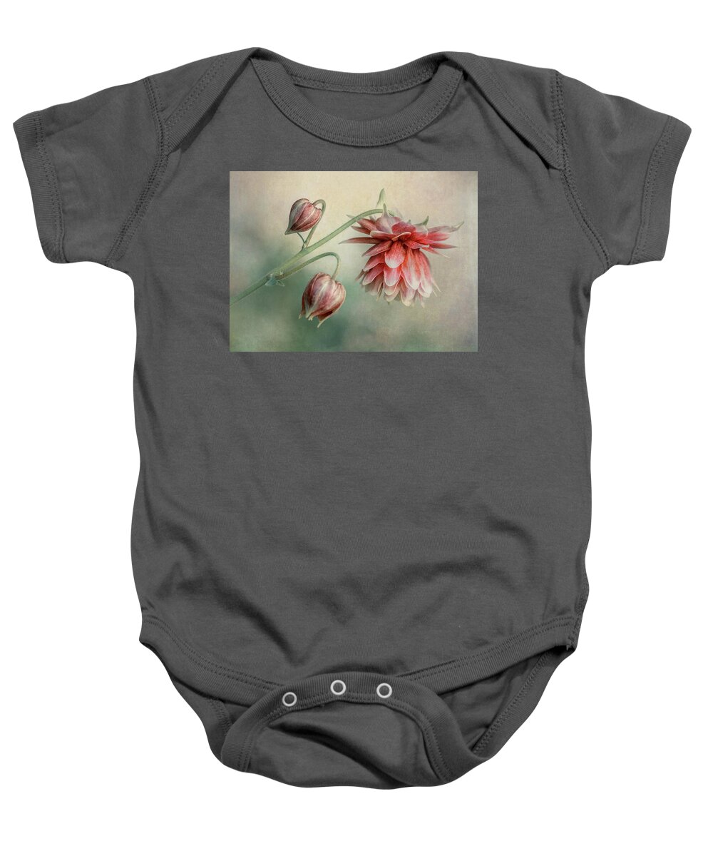 Colorful Baby Onesie featuring the photograph Delicate red columbine by Jaroslaw Blaminsky