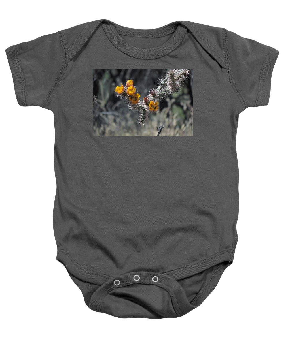 Art For Sale Baby Onesie featuring the photograph Desert Blooms by Bill Tomsa