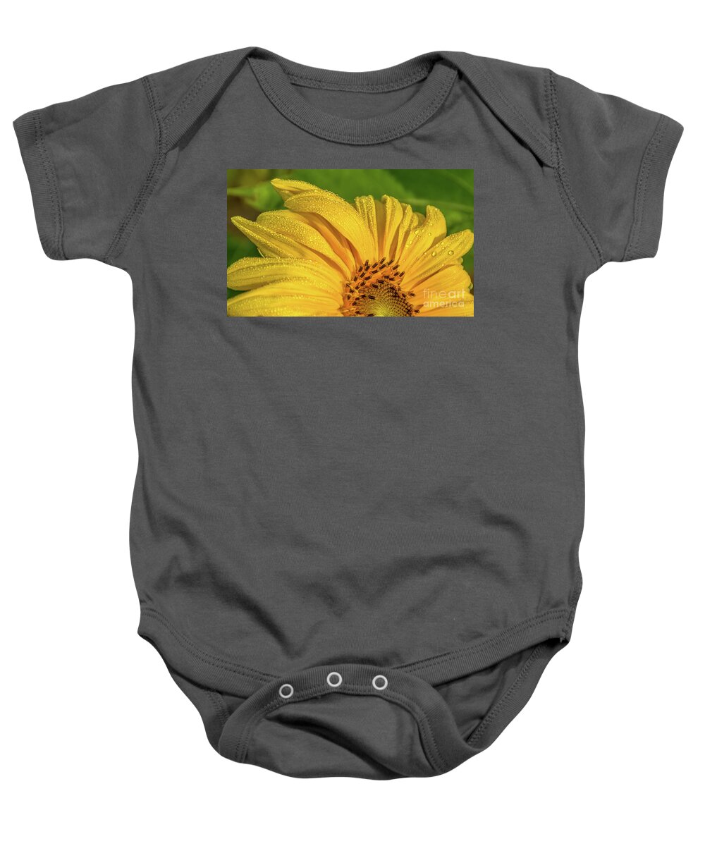 Cheryl Baxter Photography Baby Onesie featuring the photograph Dew on Sunflower Petals by Cheryl Baxter