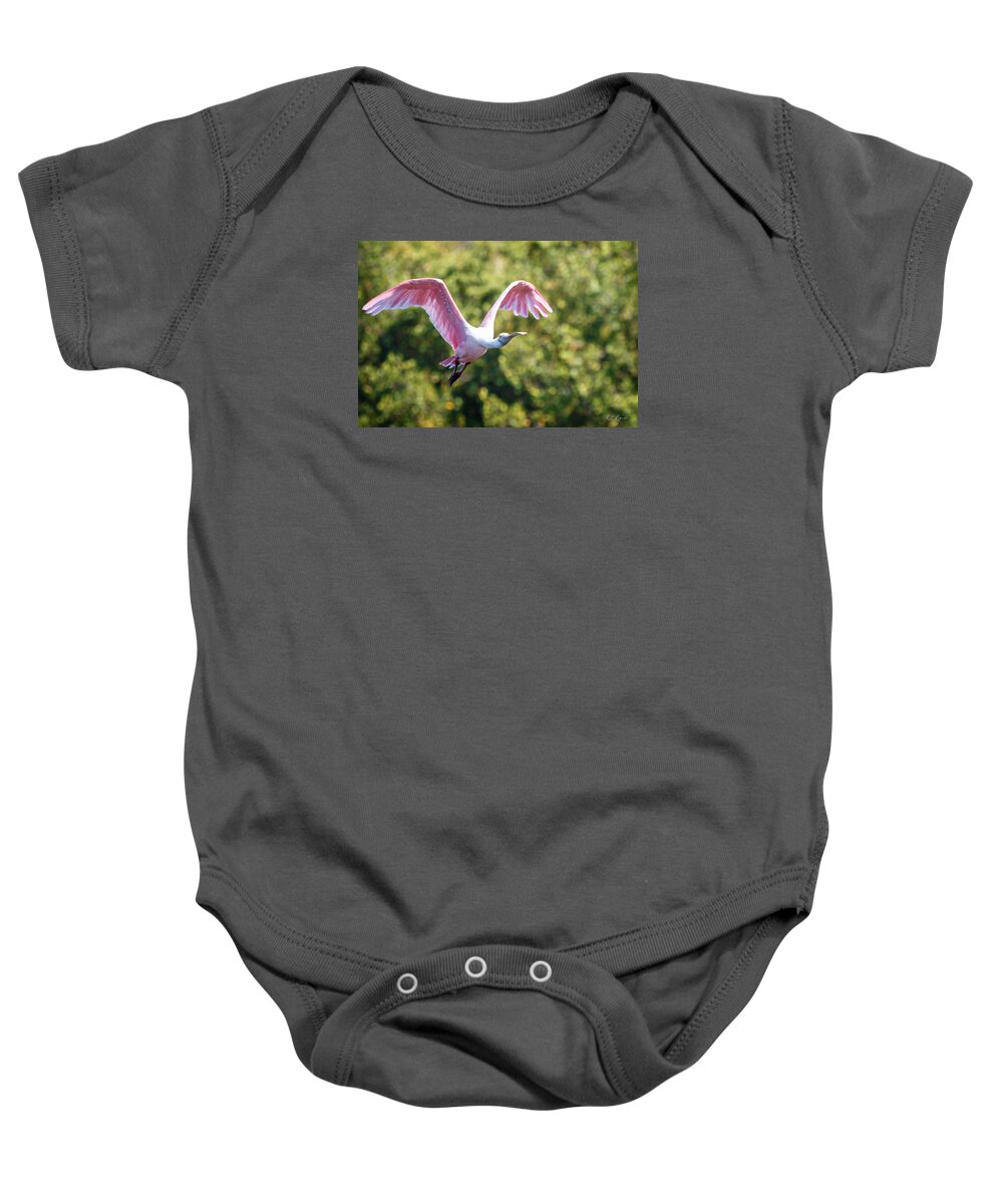 Florida Baby Onesie featuring the photograph Ding Darling - Roseate Spoonbill - Wings High by Ronald Reid