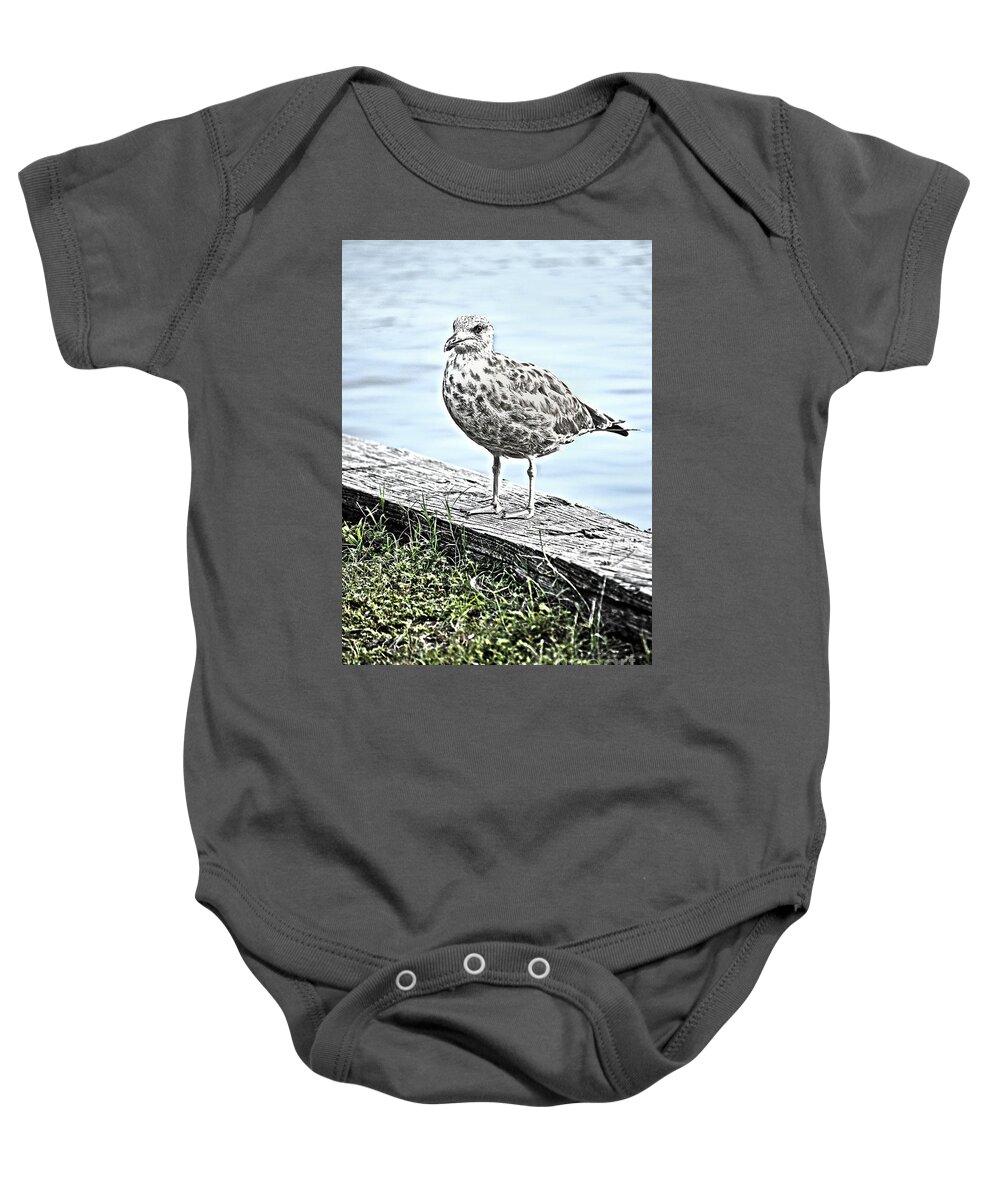 Swansboro Baby Onesie featuring the photograph Dinner Time by Rod Farrell