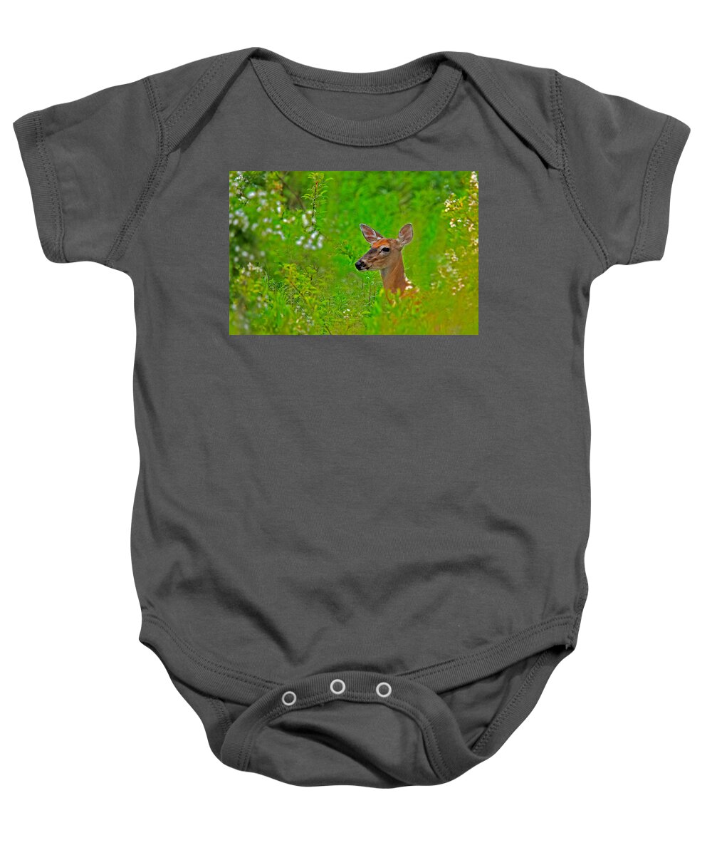 Deer Baby Onesie featuring the photograph Doe in Springtime by William Jobes