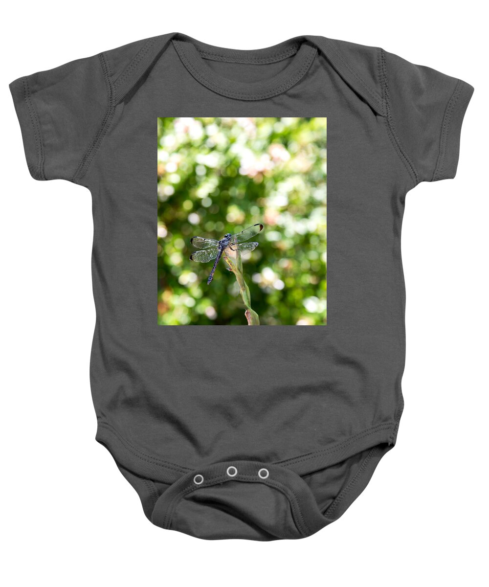 Dragonfly Baby Onesie featuring the photograph Dragonfly-1 by Charles Hite