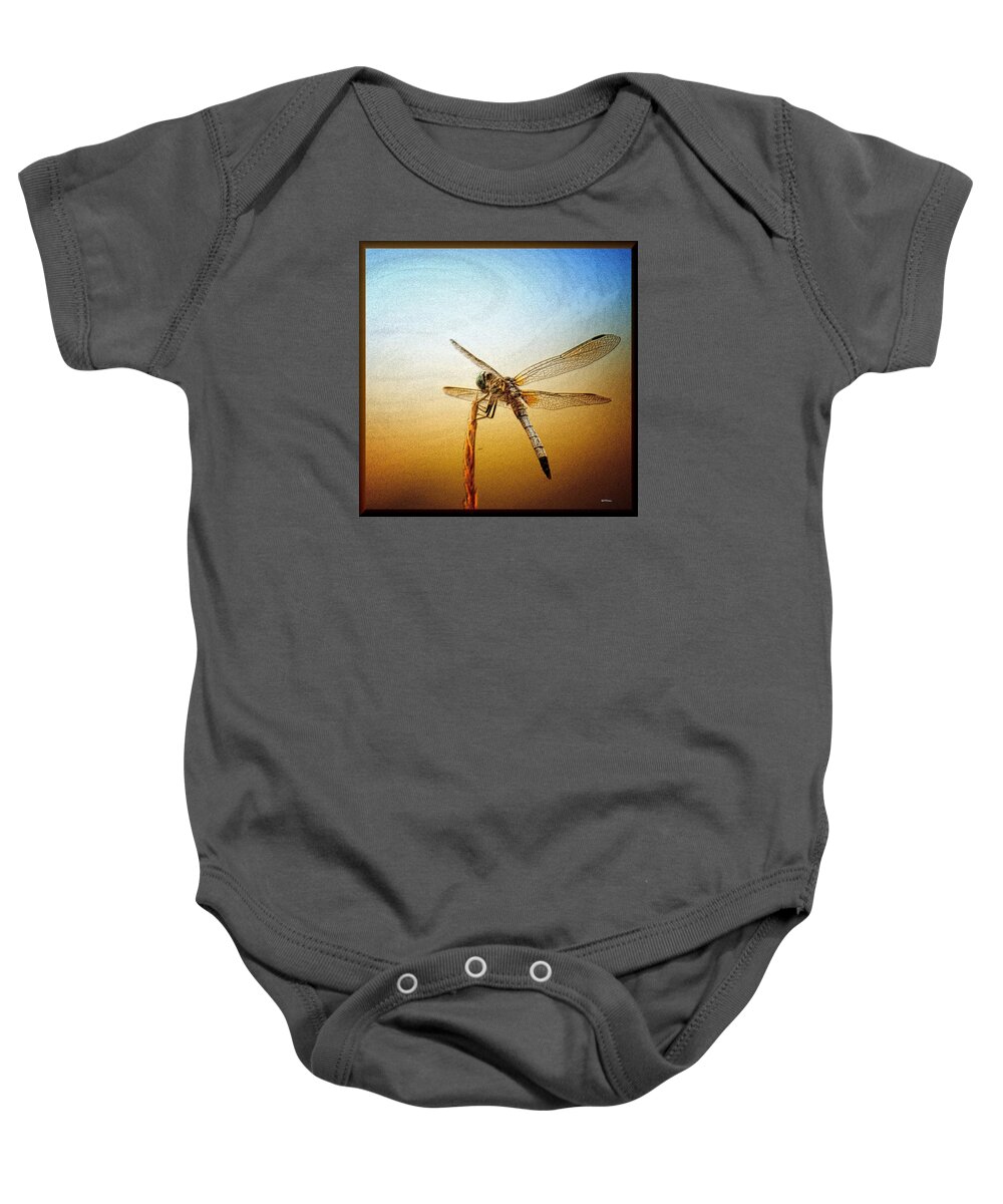 Dragonfly Art 15-01 Baby Onesie featuring the photograph Dragonfly Art 15-01 by Maria Urso