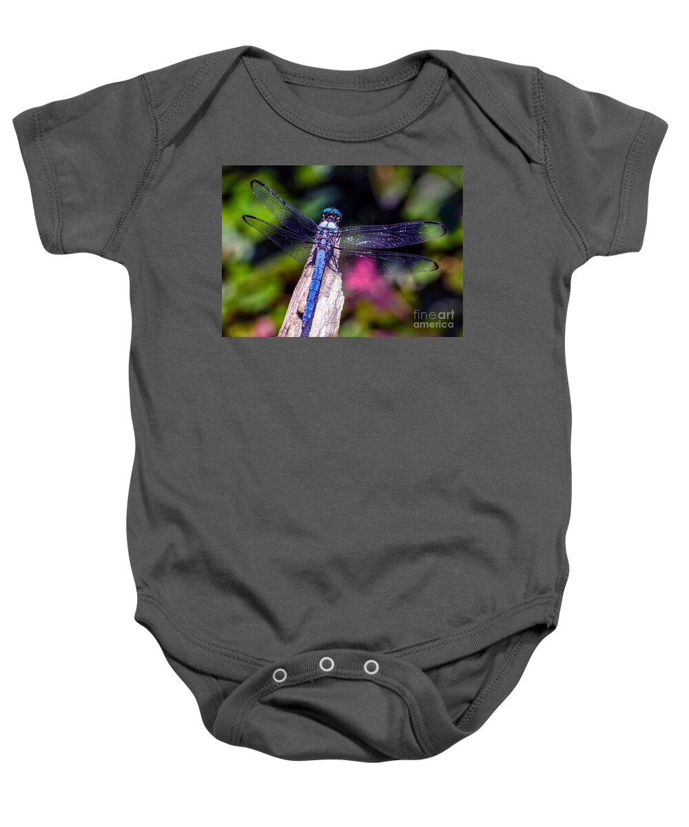Nature Baby Onesie featuring the photograph Dragonfly by DB Hayes