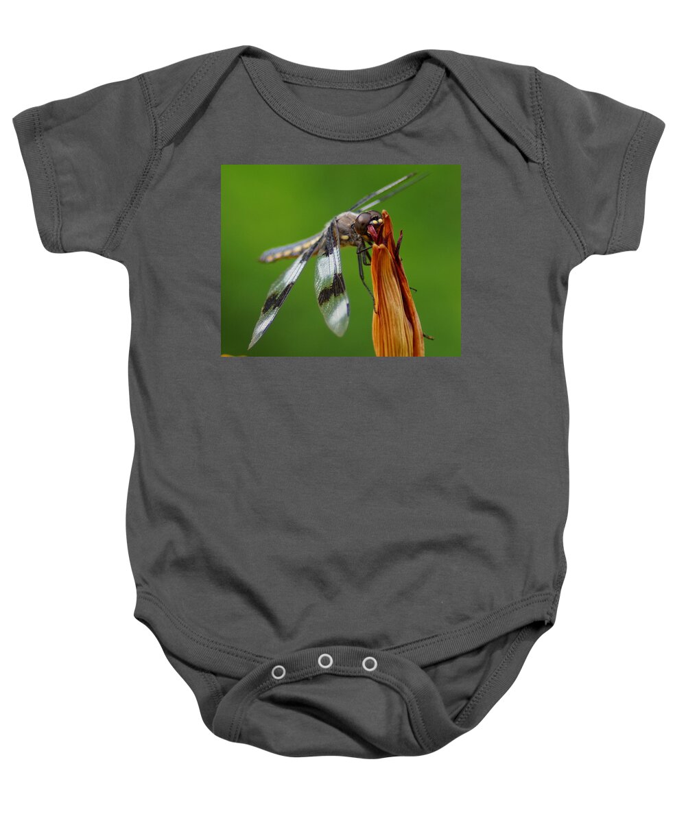 Dragonfly Baby Onesie featuring the photograph Dragonfly Portrait 2 by Ben Upham III