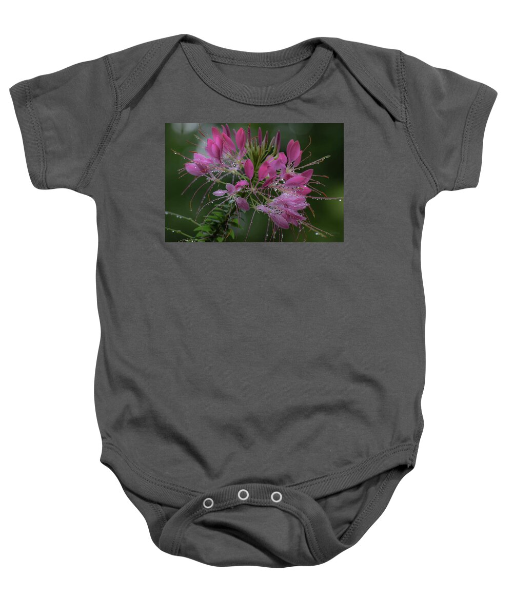 Cleome Baby Onesie featuring the photograph Drenched With Love by Deborah Crew-Johnson