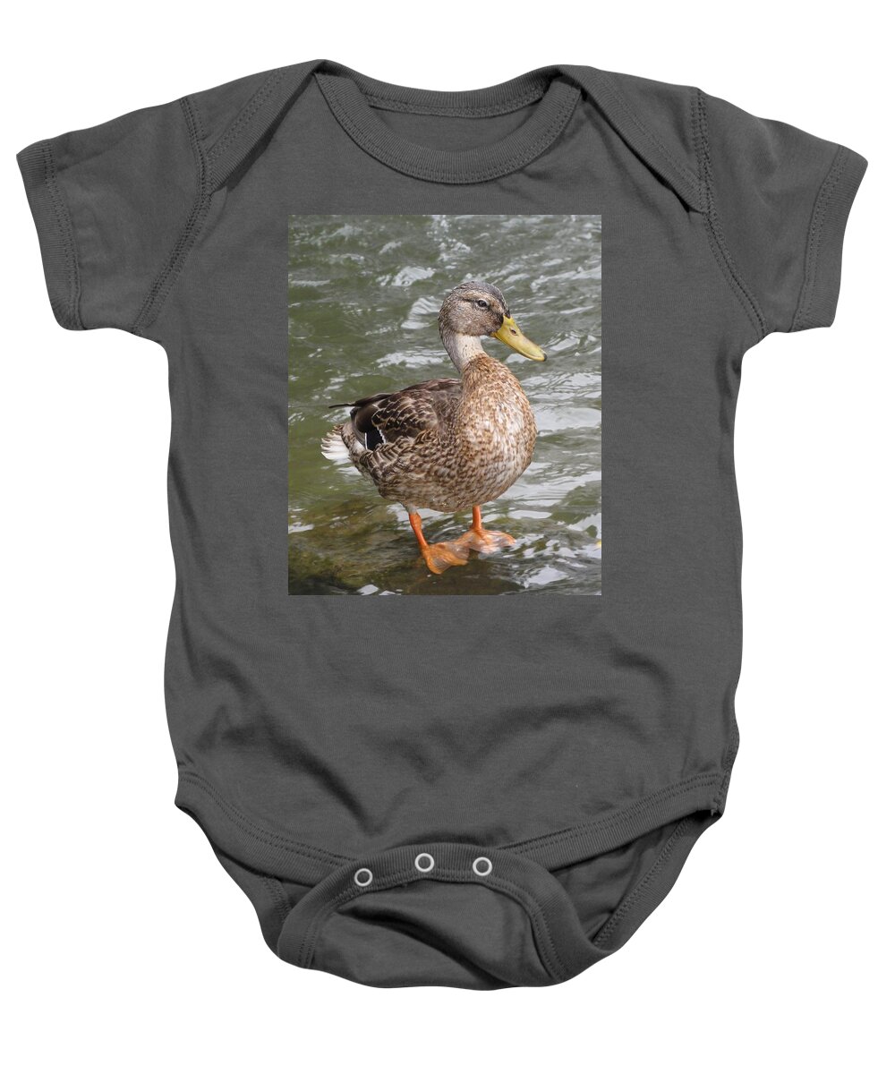 Duck Baby Onesie featuring the photograph Duck by Douglas Martin