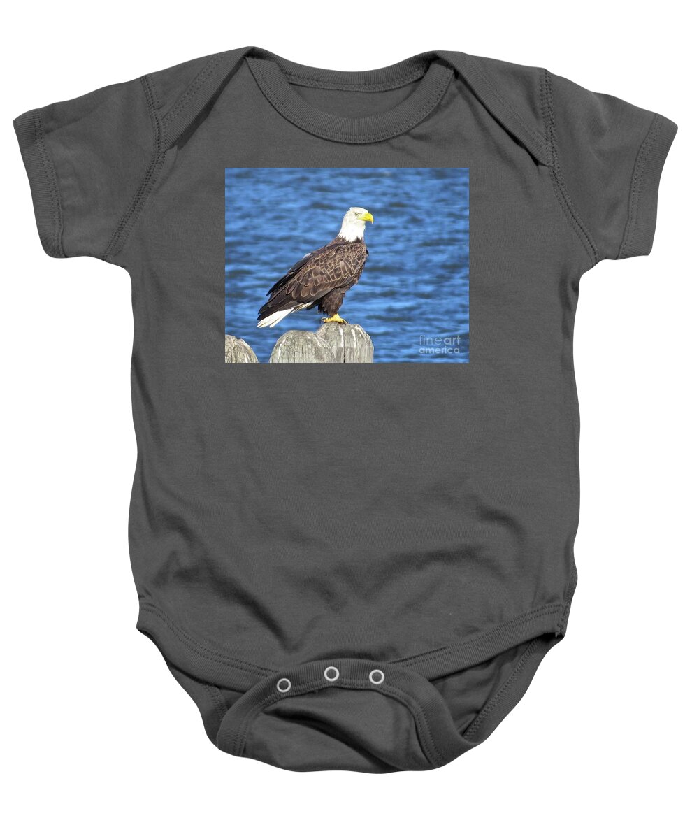 Eagle Baby Onesie featuring the photograph Eagle at East Point by Nancy Patterson