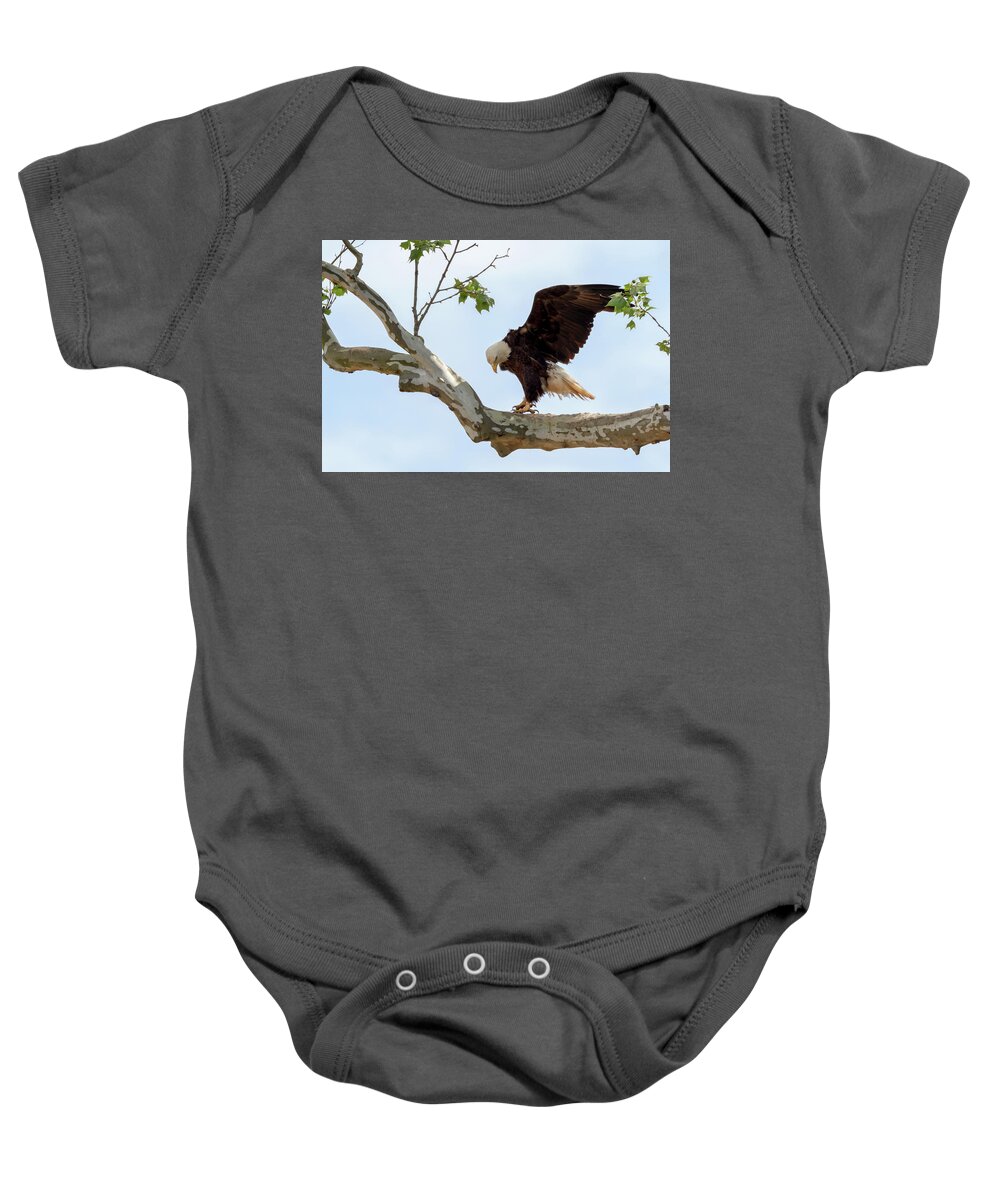 Bald Eagle Baby Onesie featuring the photograph Eagle Flying Lessons 1 by Susan Rissi Tregoning