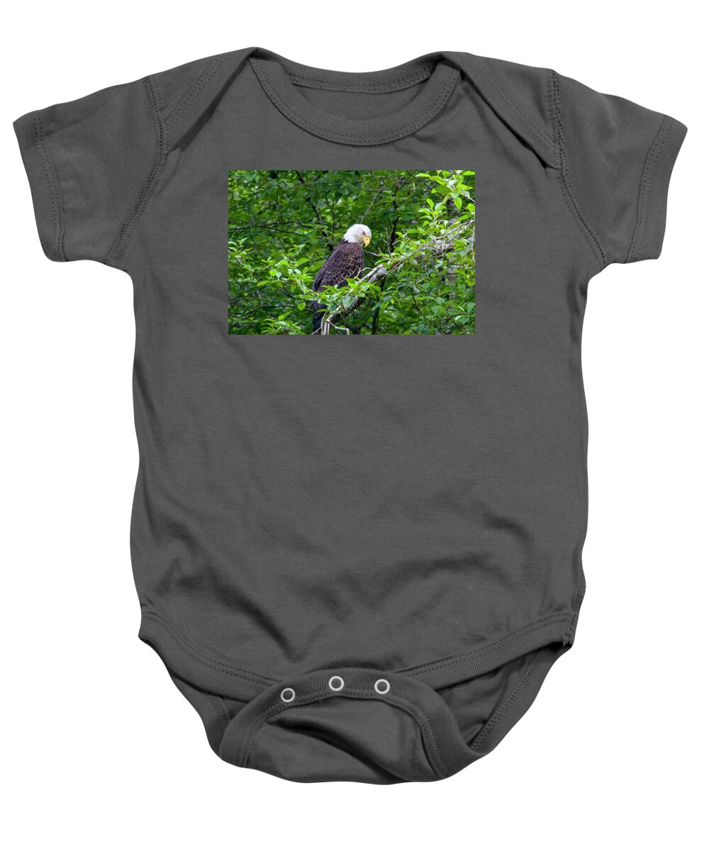 Bald Eagle Baby Onesie featuring the photograph Eagle in the Tree by Anthony Jones
