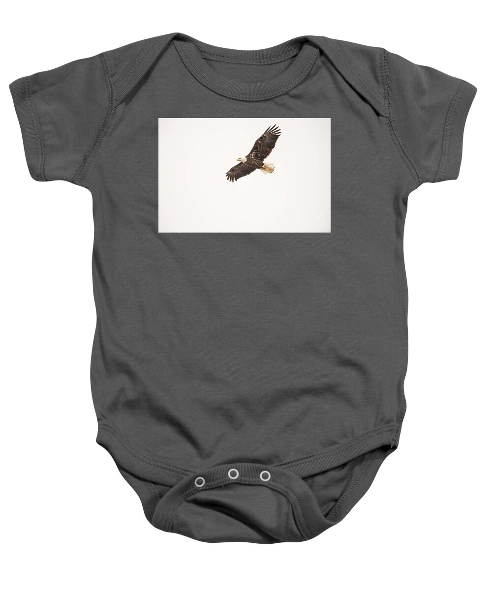 Eagles Baby Onesie featuring the photograph Eagles on the Fox - 11 by David Bearden