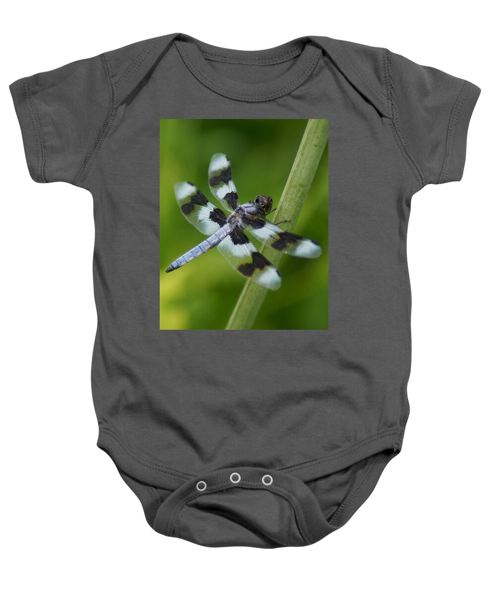 Dragonfly Baby Onesie featuring the photograph Eight Spotted Skimmer Dragonfly by Ben Upham III