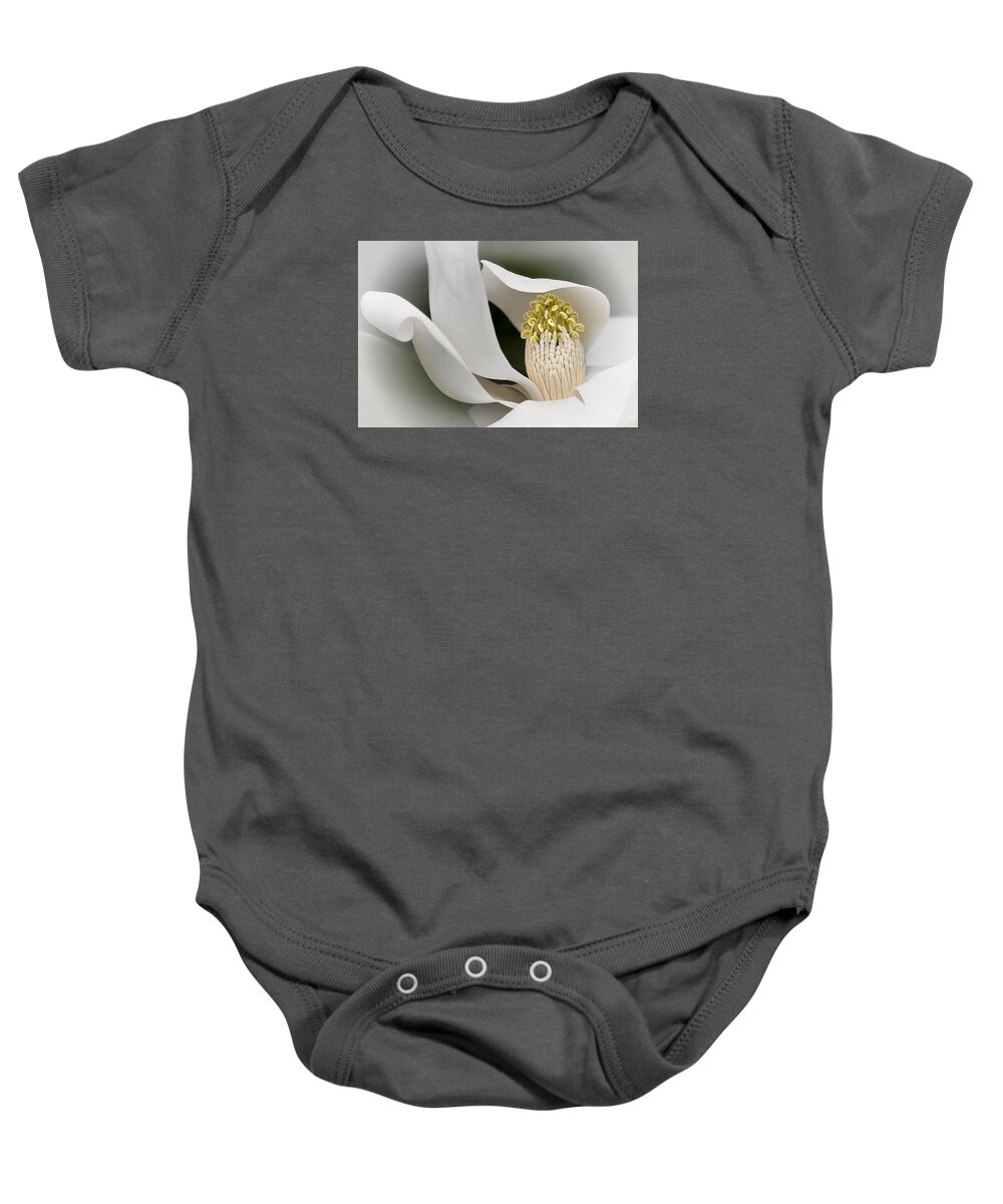 Elegant Magnolia Baby Onesie featuring the photograph Elegant Magnolia II by Ken Barrett