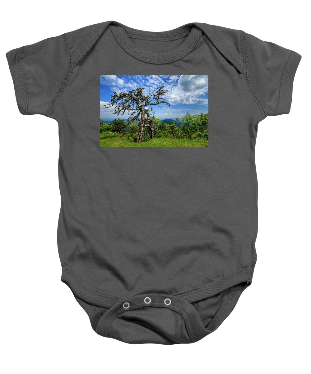 Blue Ridge Parkway Baby Onesie featuring the photograph Ent at the Top of the Hill - Color by Joni Eskridge