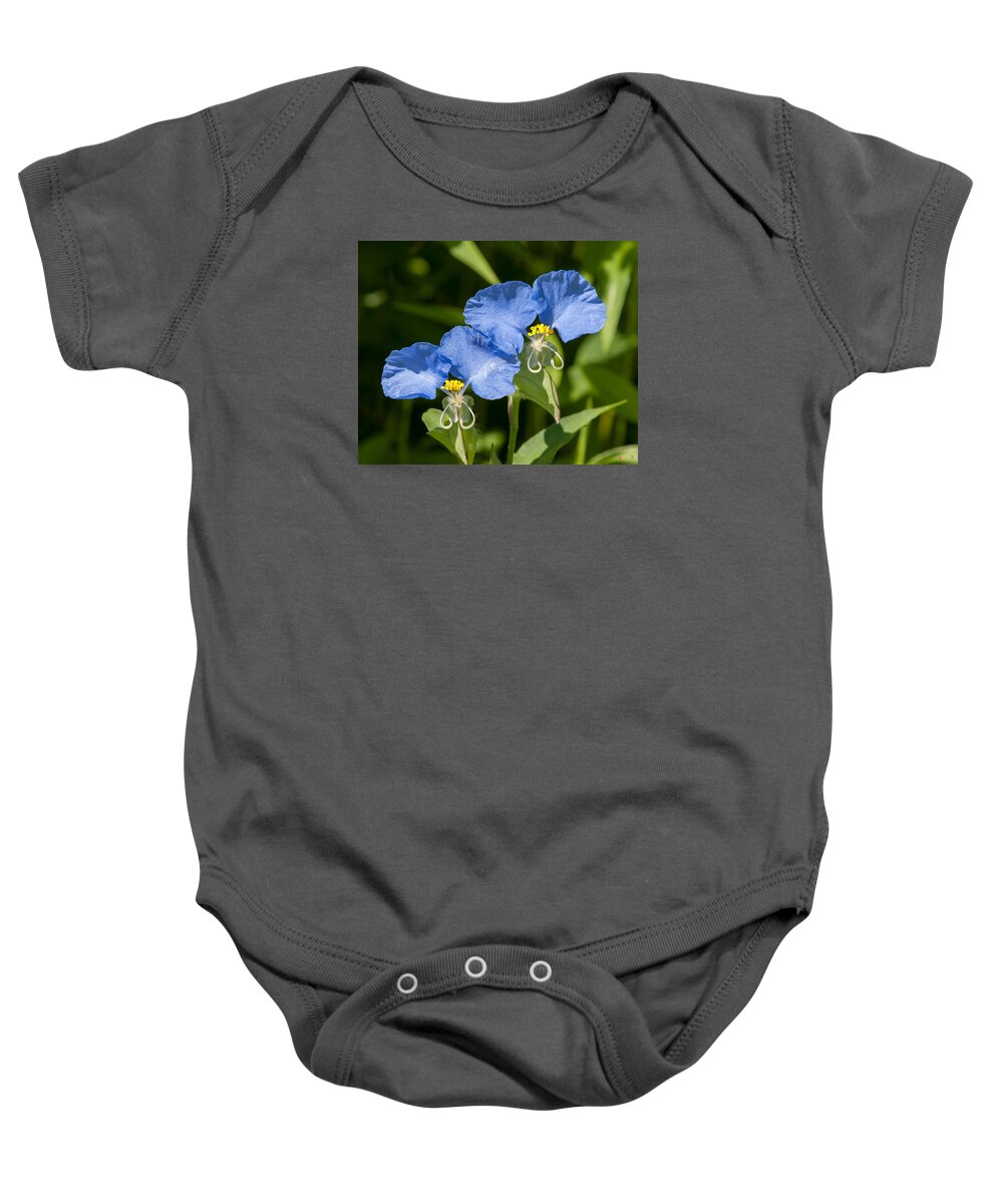 Nature Baby Onesie featuring the photograph Erect Dayflower DSMF0299 by Gerry Gantt
